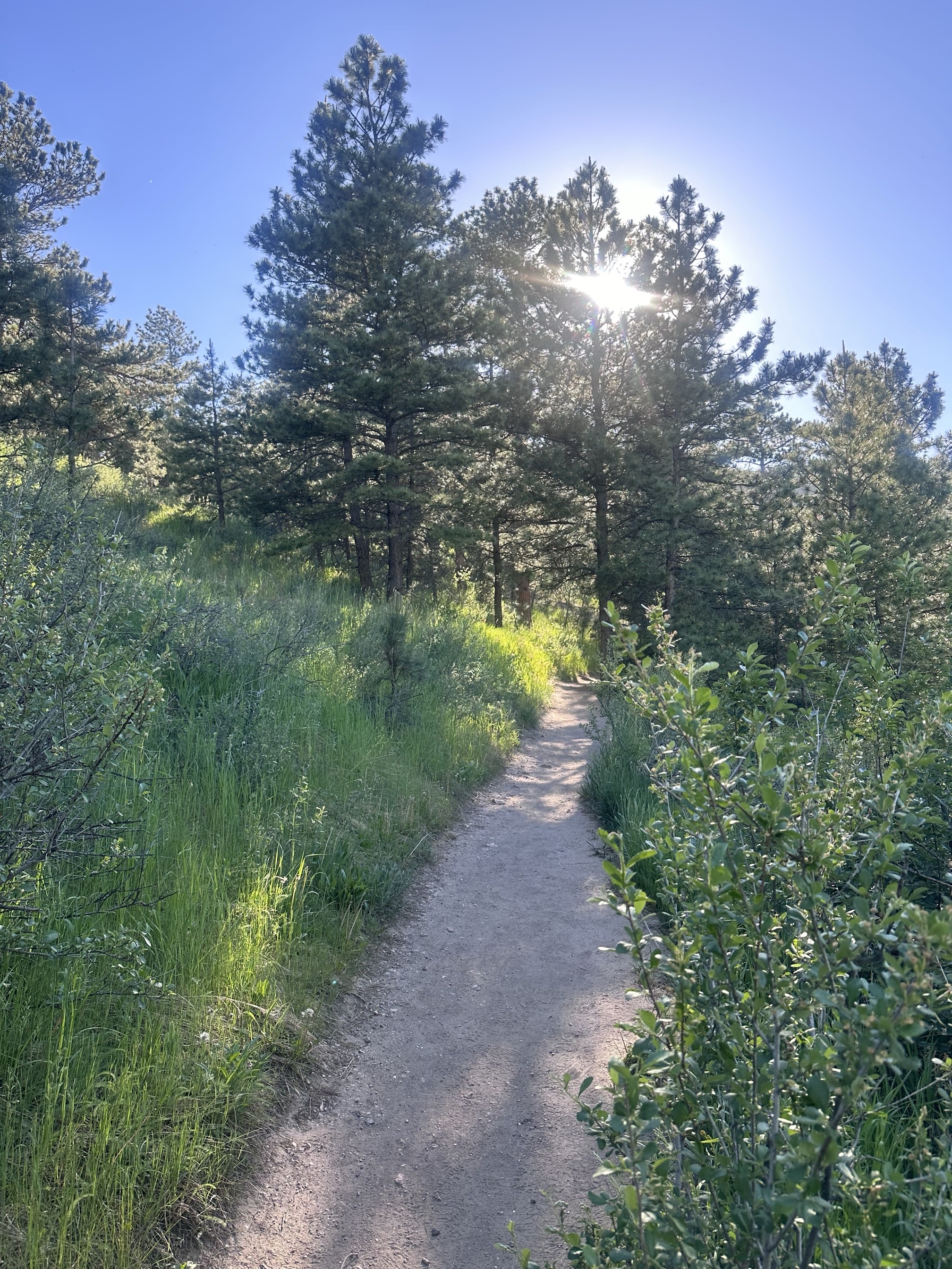 Arthur's Rock Trail