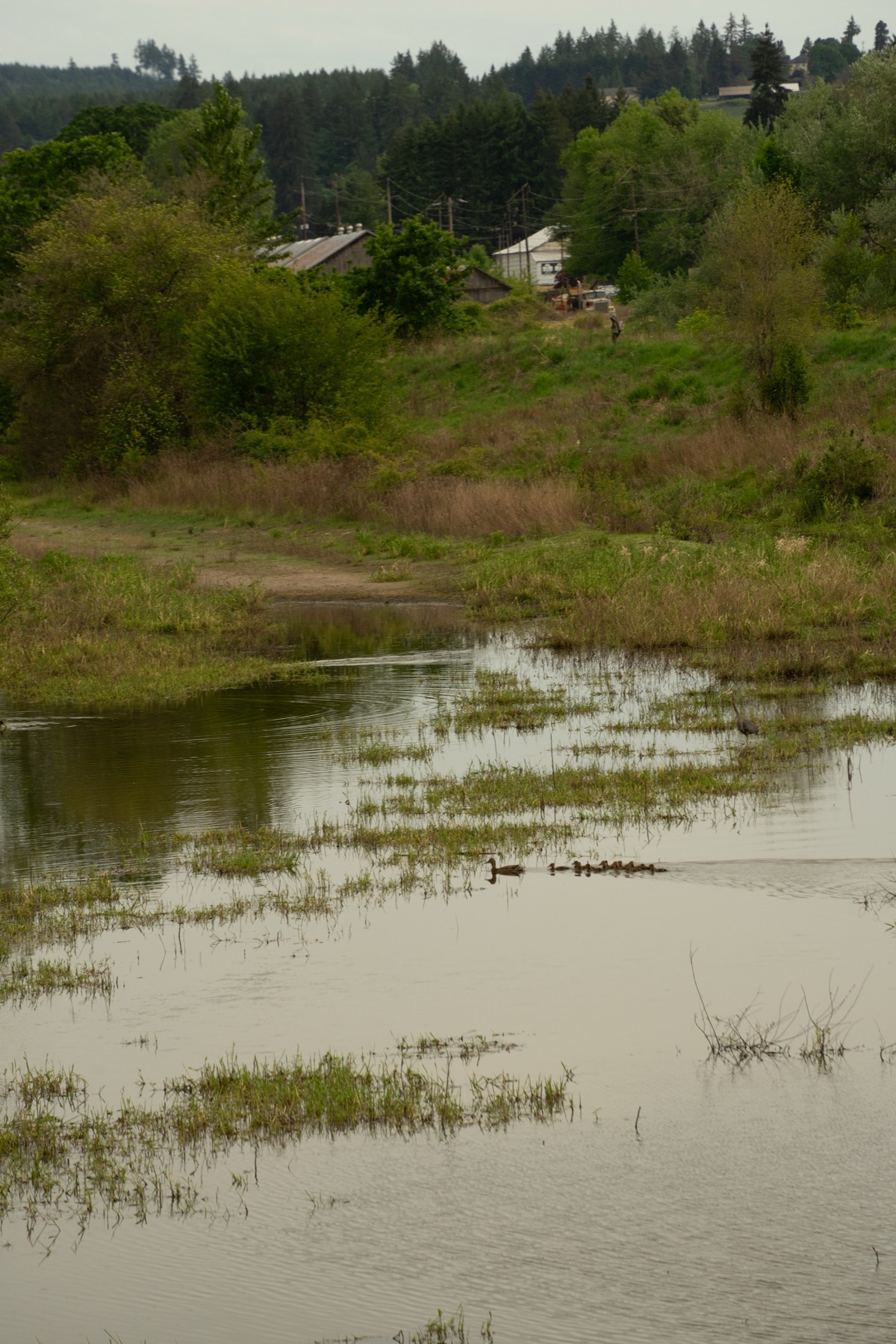Wapato Lake National Wildlife Refuge Trail
