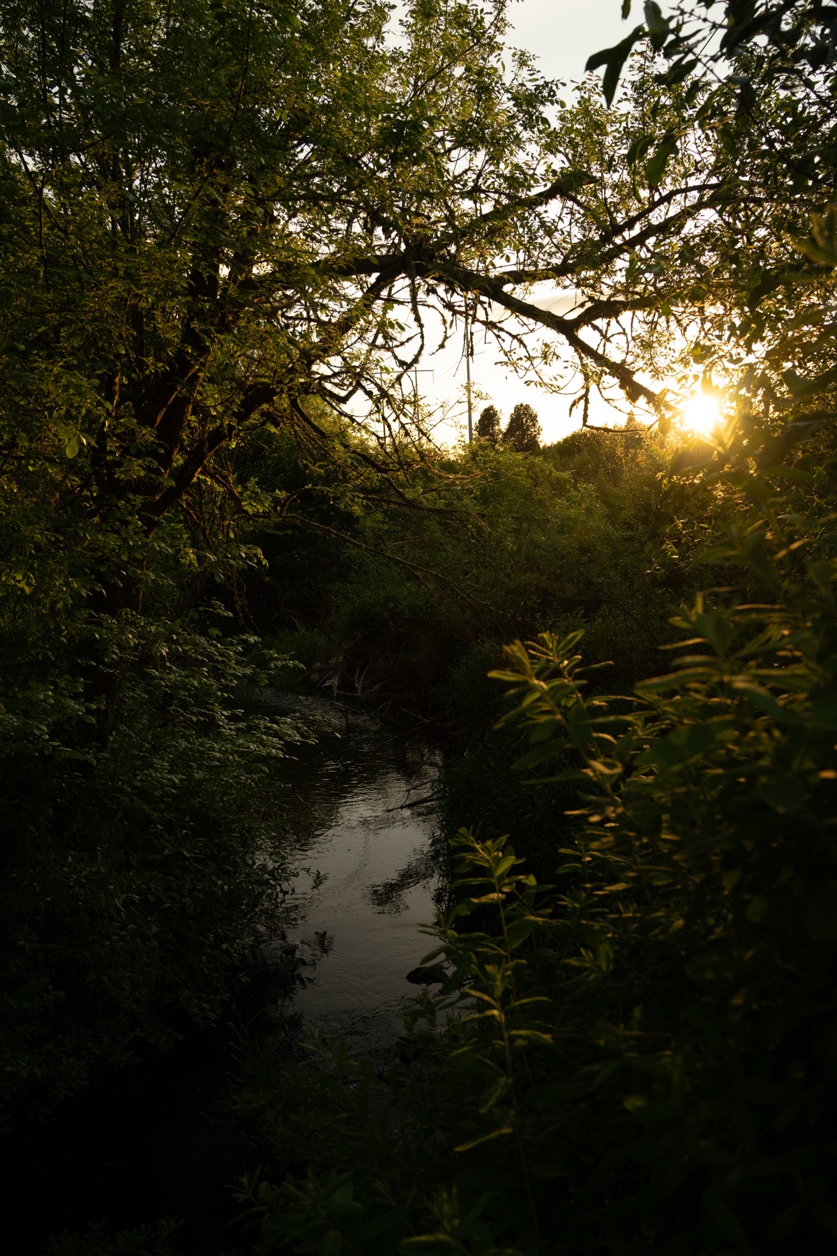 Bethany Lake Park