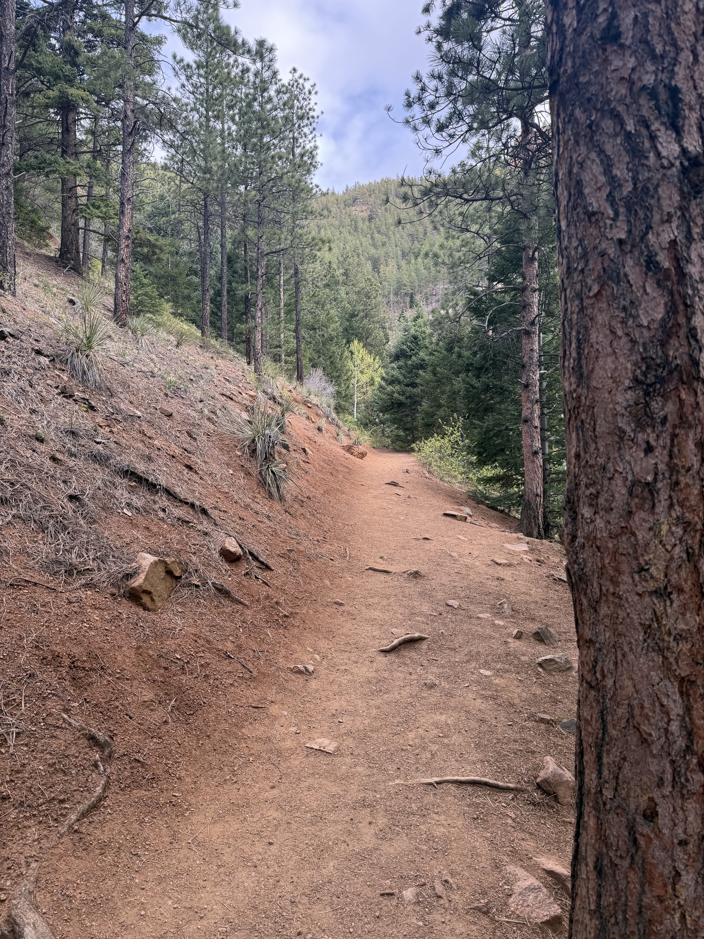 Seven Bridges Trail