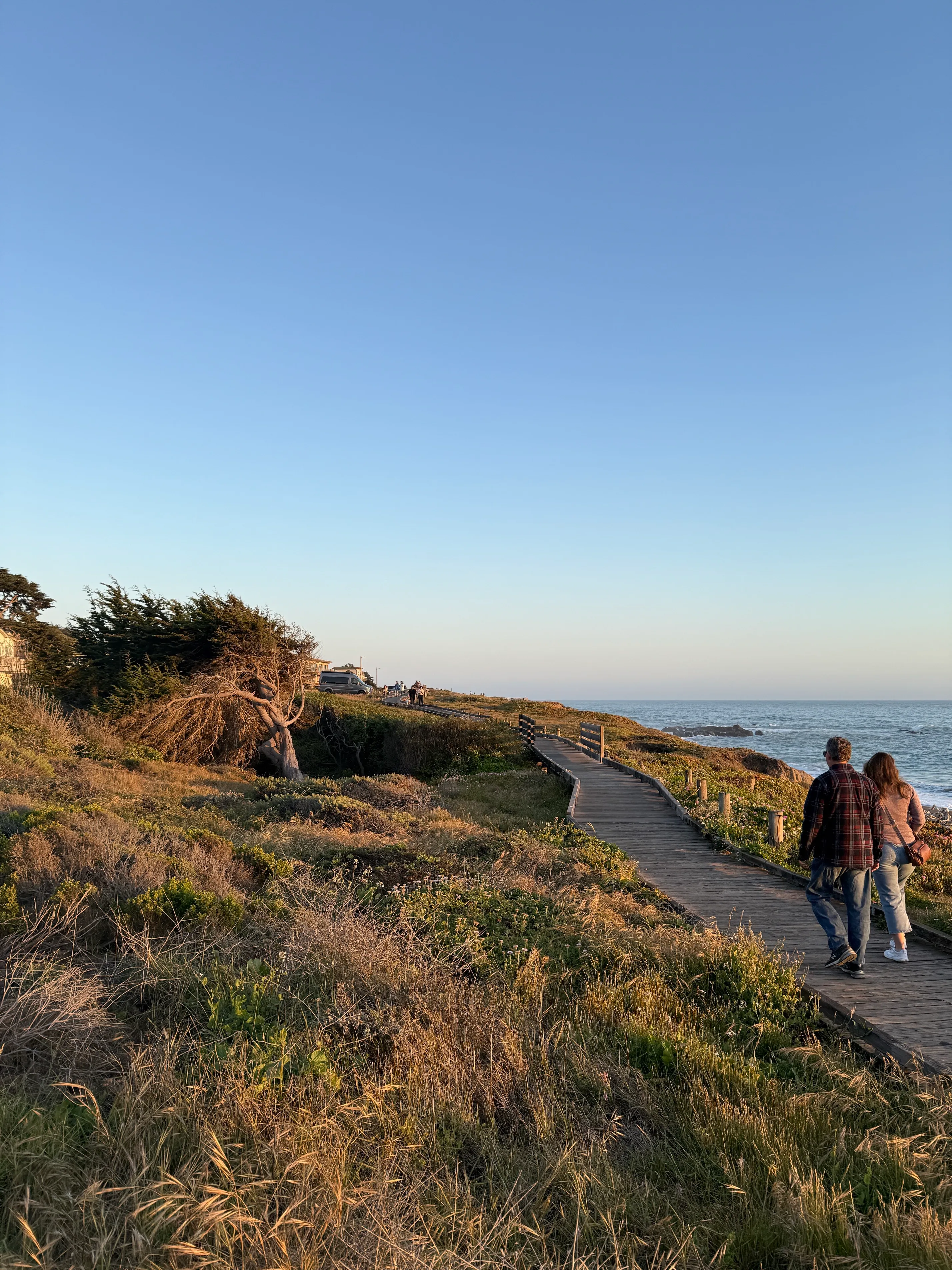Moonstone Beach Trail