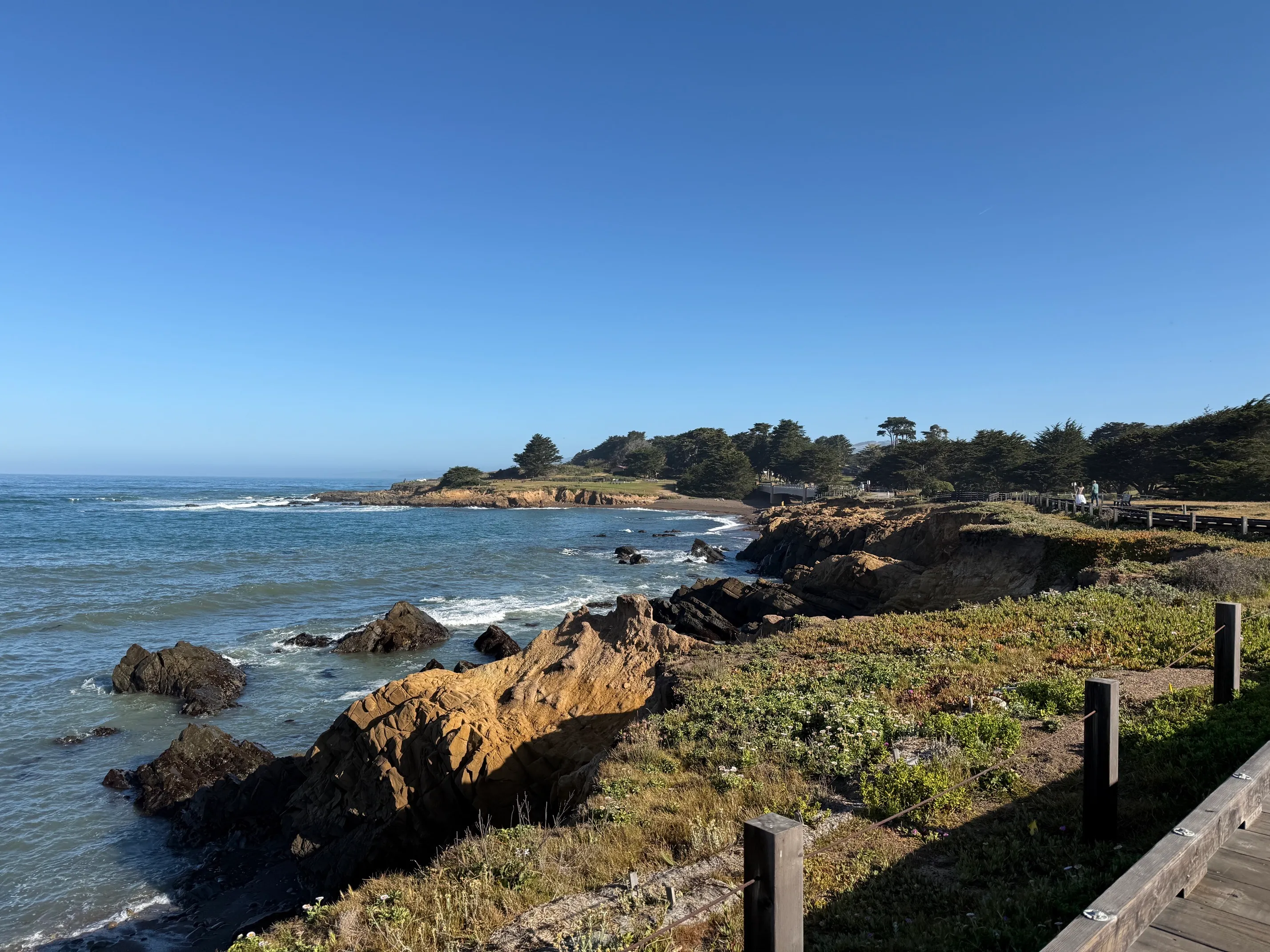 Moonstone Beach Trail