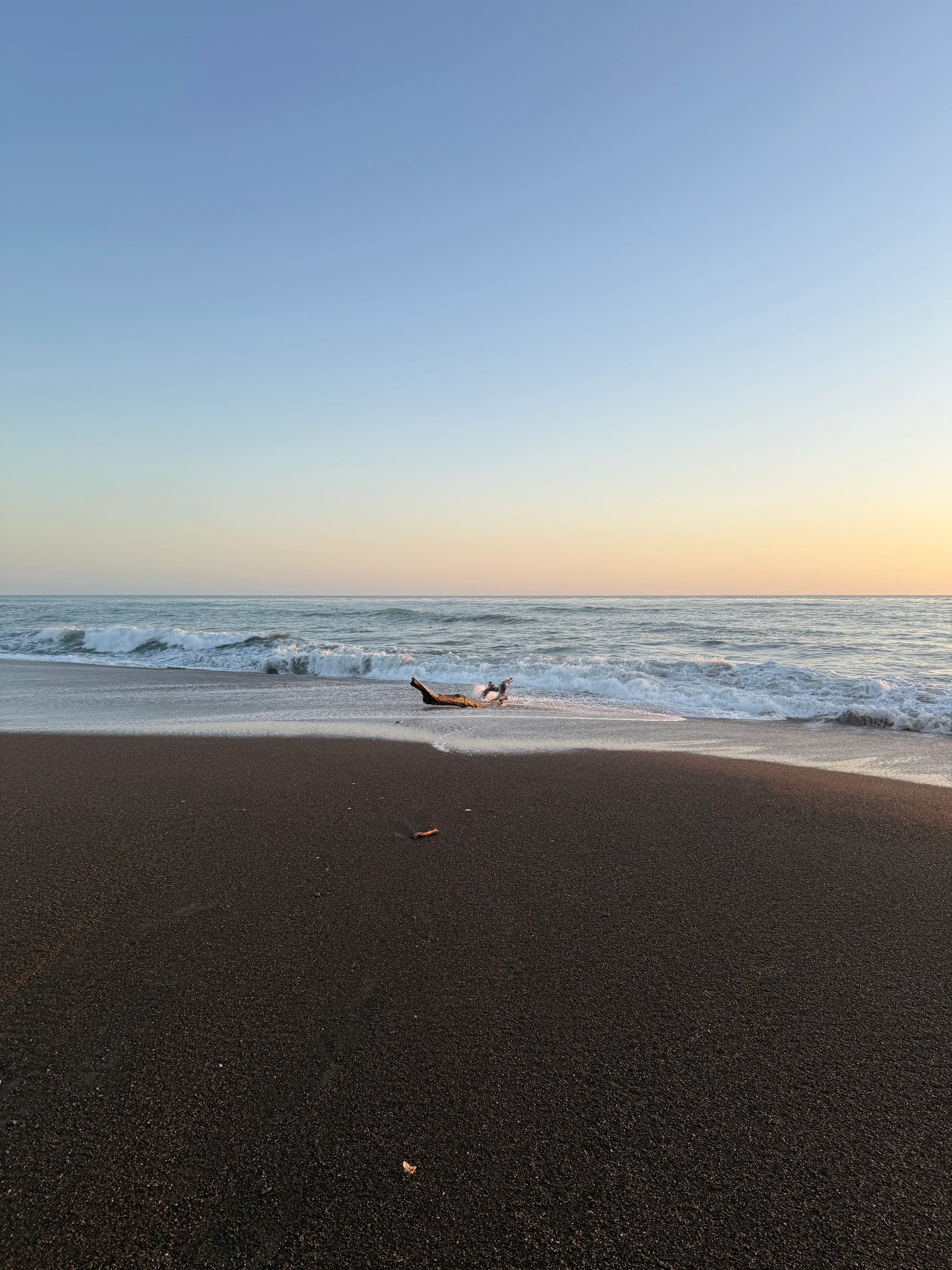 Moonstone Beach Trail