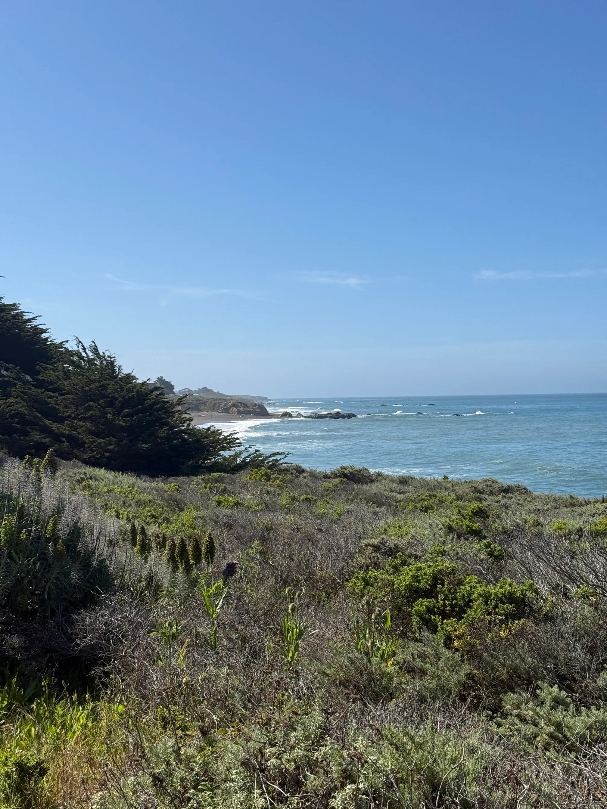 Moonstone Beach Trail
