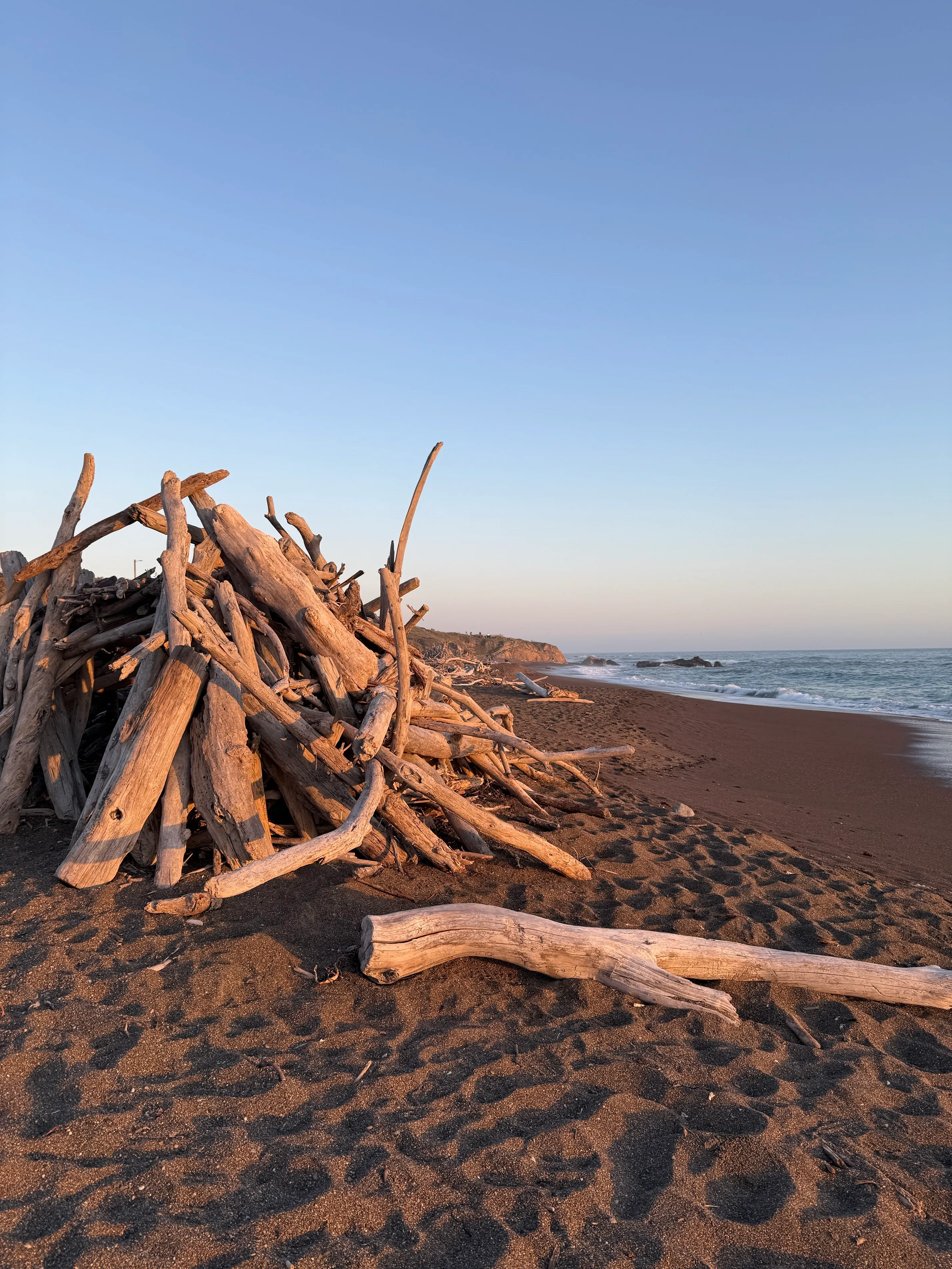Moonstone Beach Trail