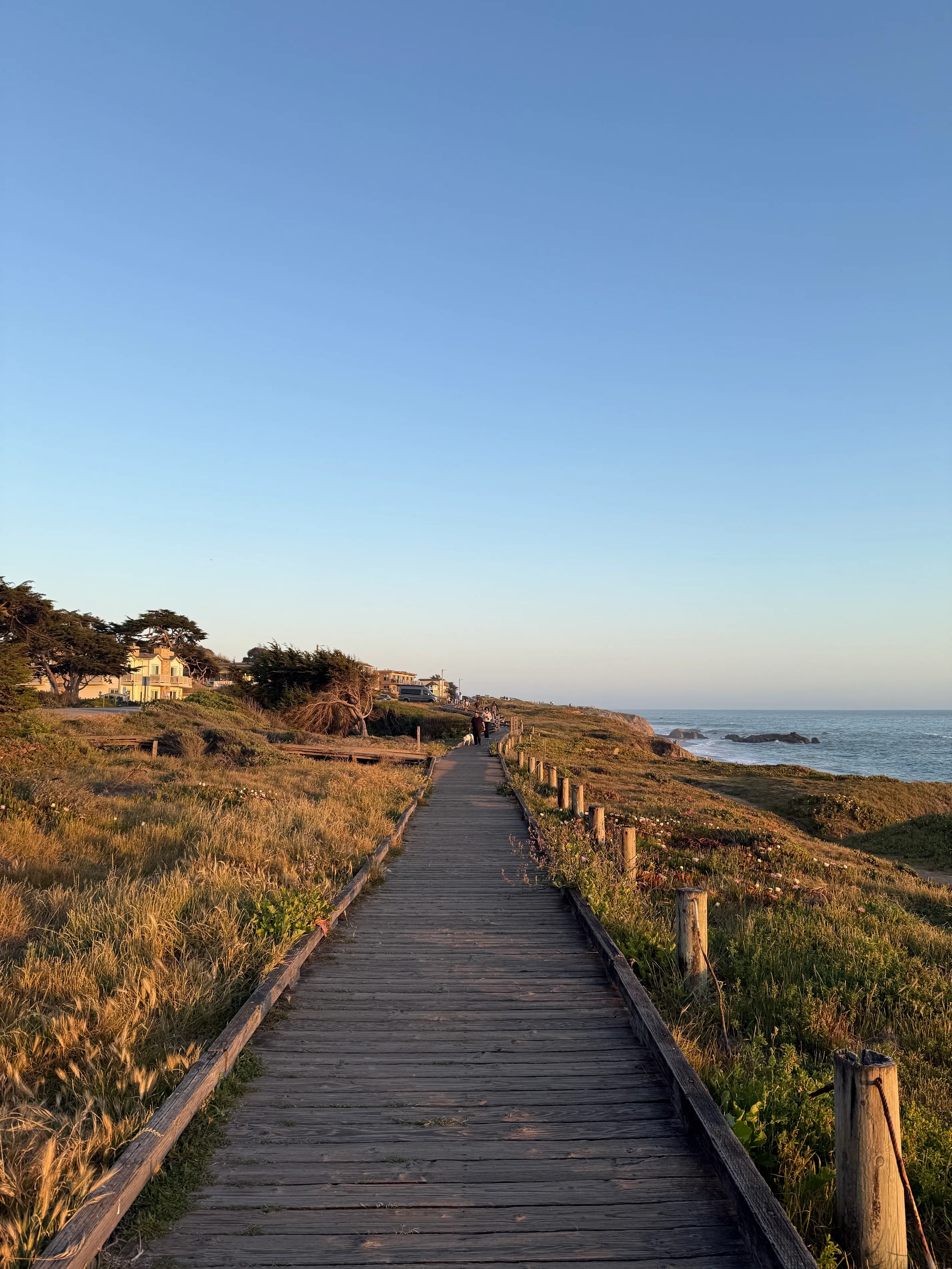 Moonstone Beach Trail