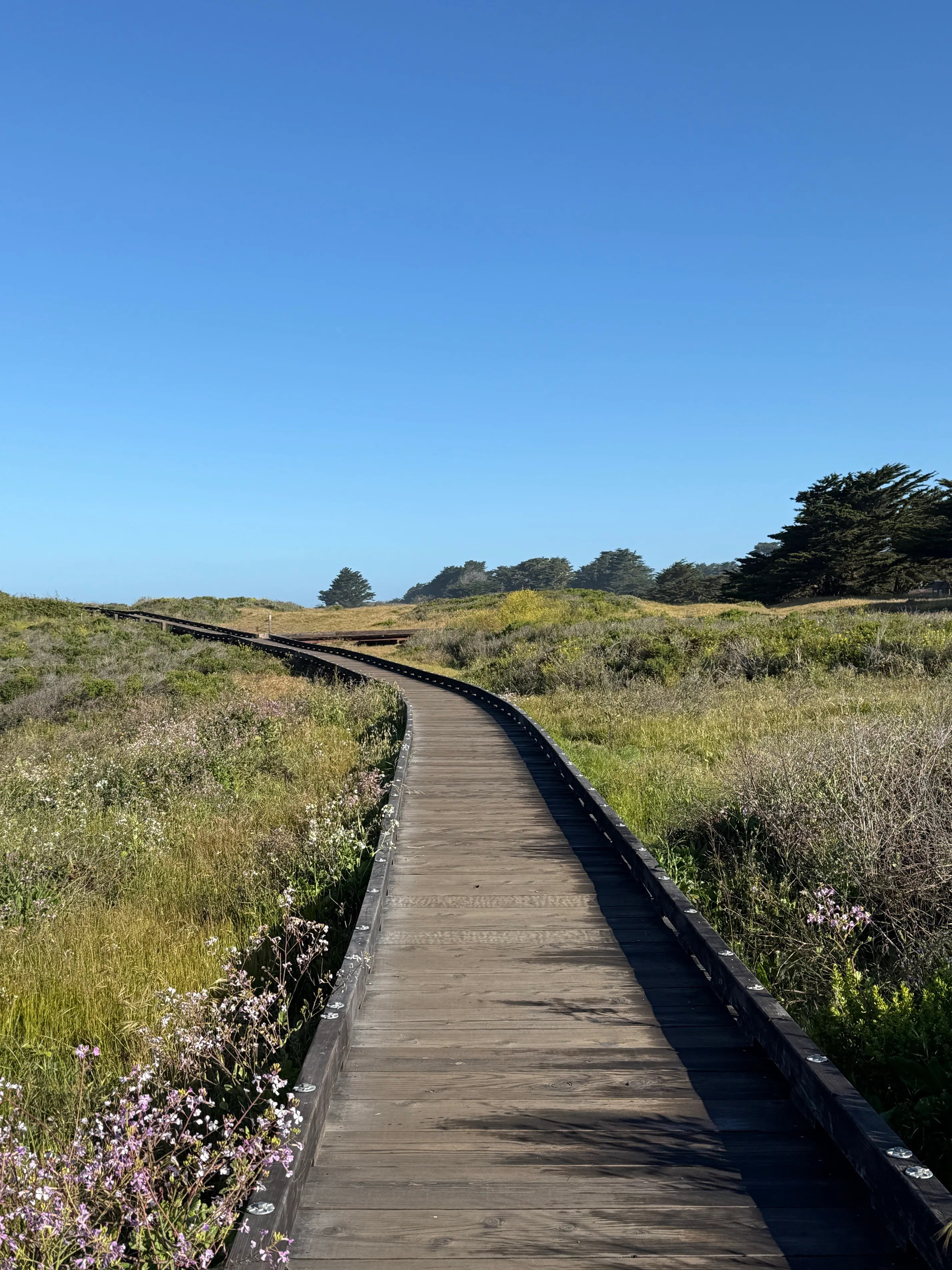 Moonstone Beach Trail