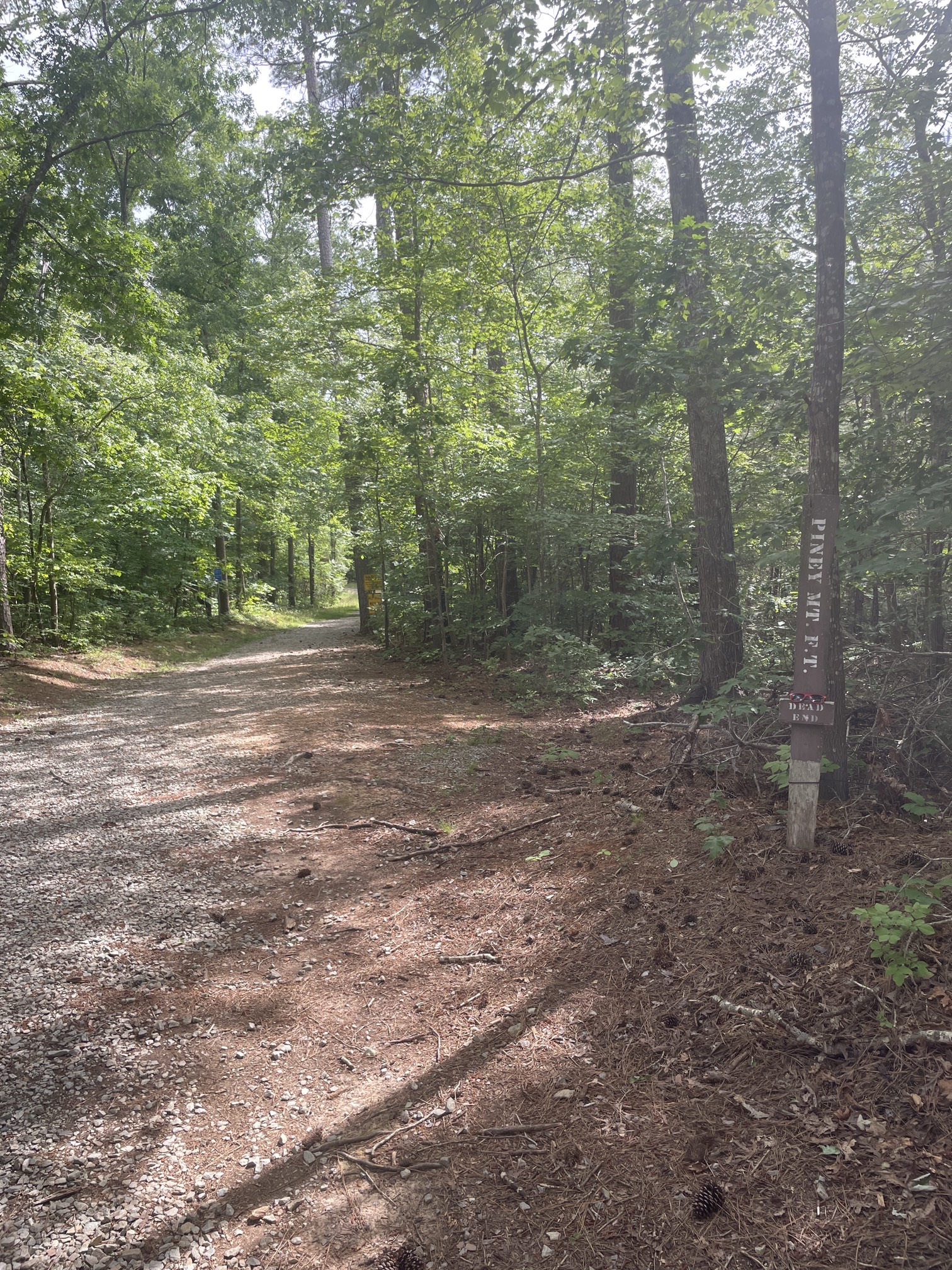 Piney Mountain Trail