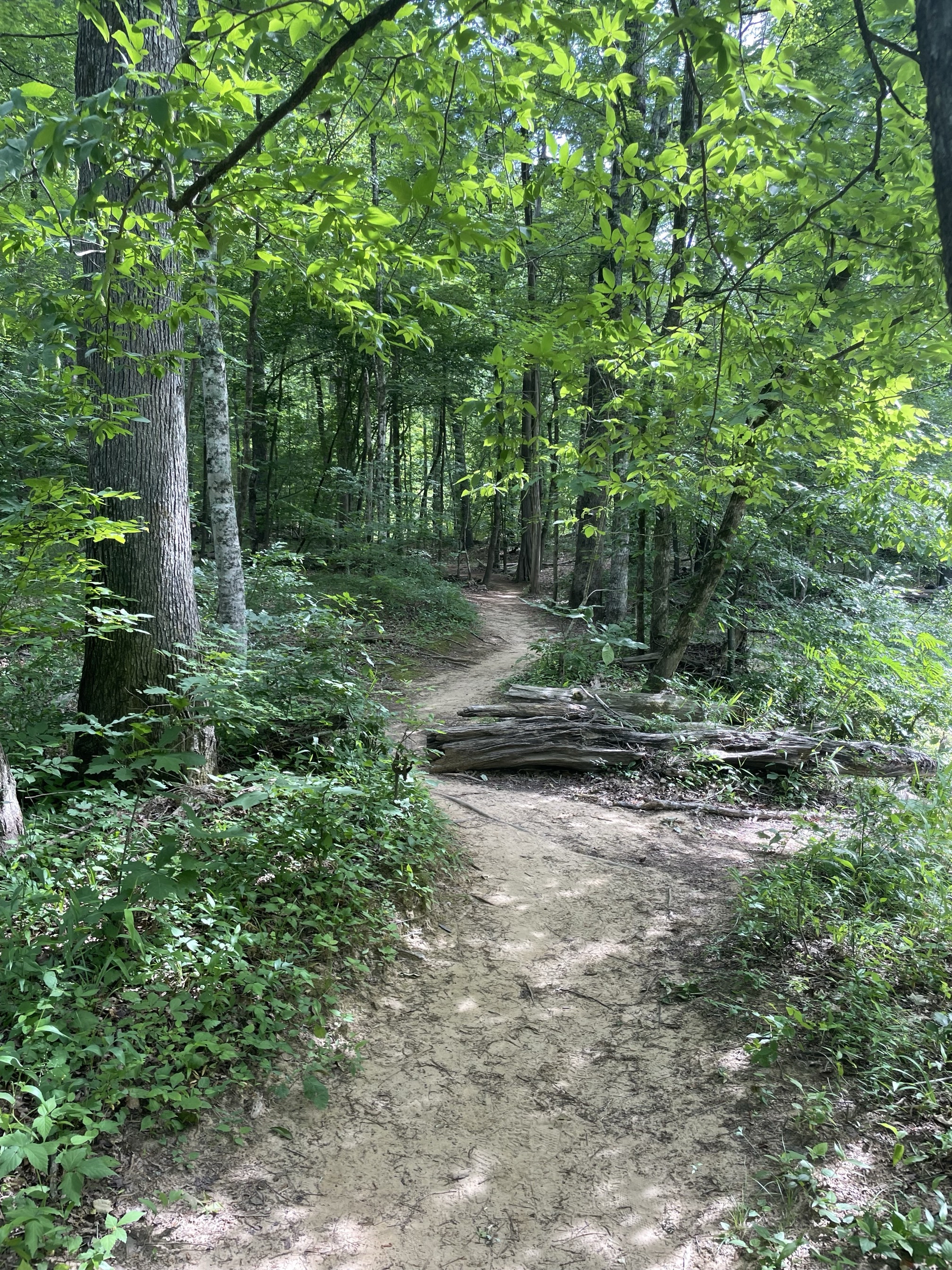 Piney Mountain Trail