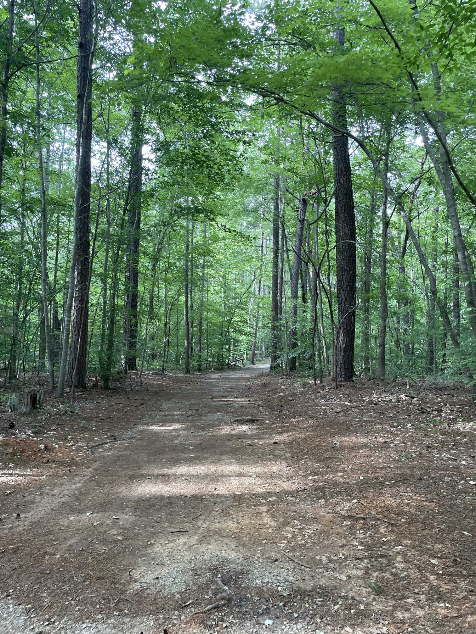 Piney Mountain Trail