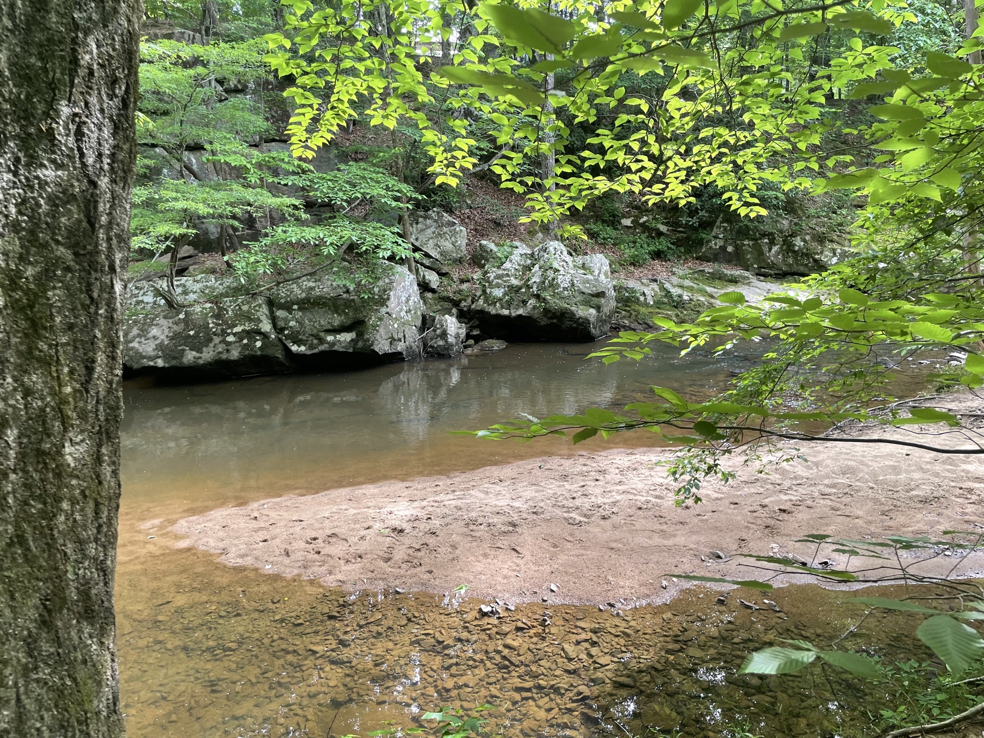 Piney Mountain Trail