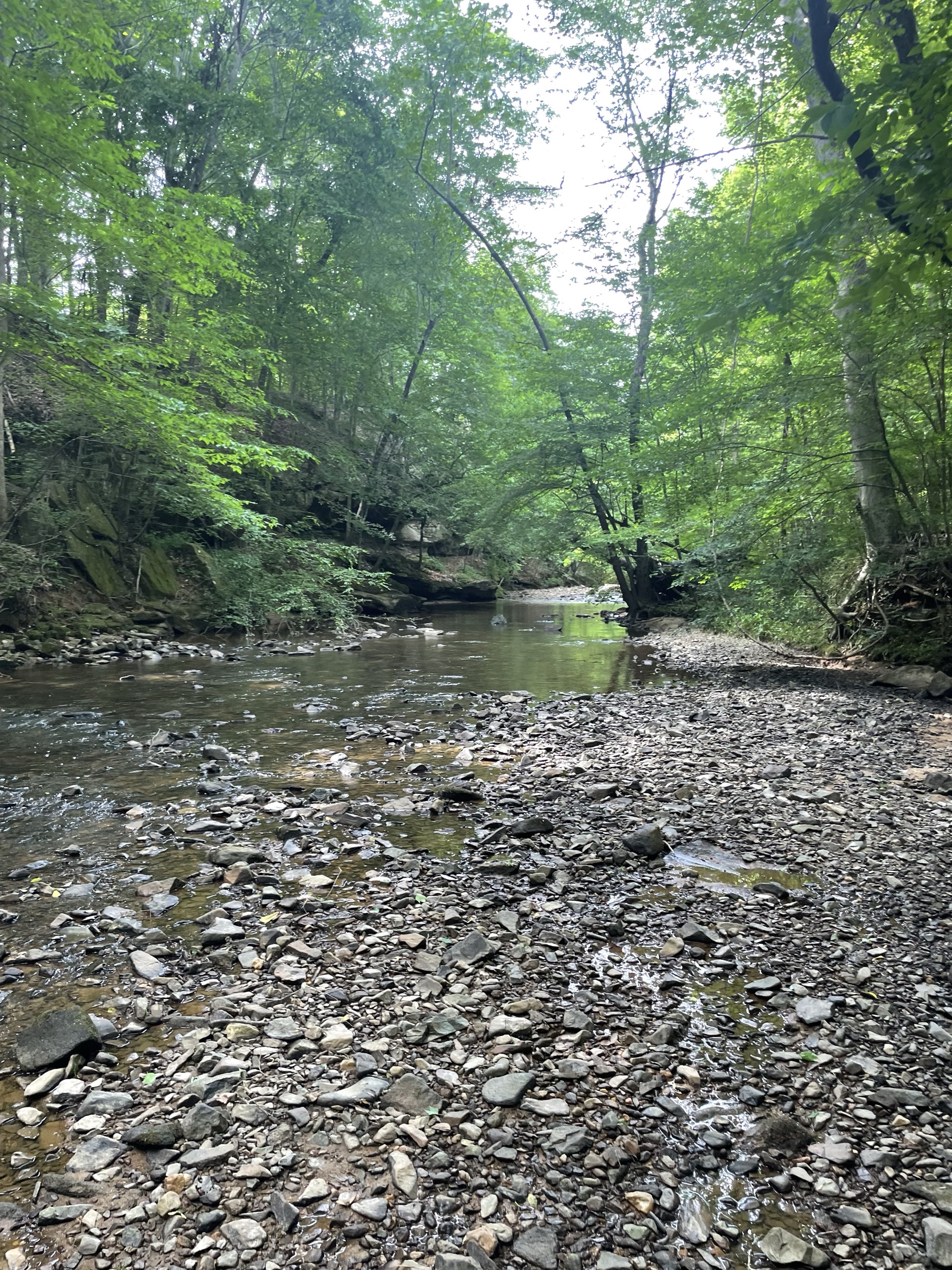 Piney Mountain Trail