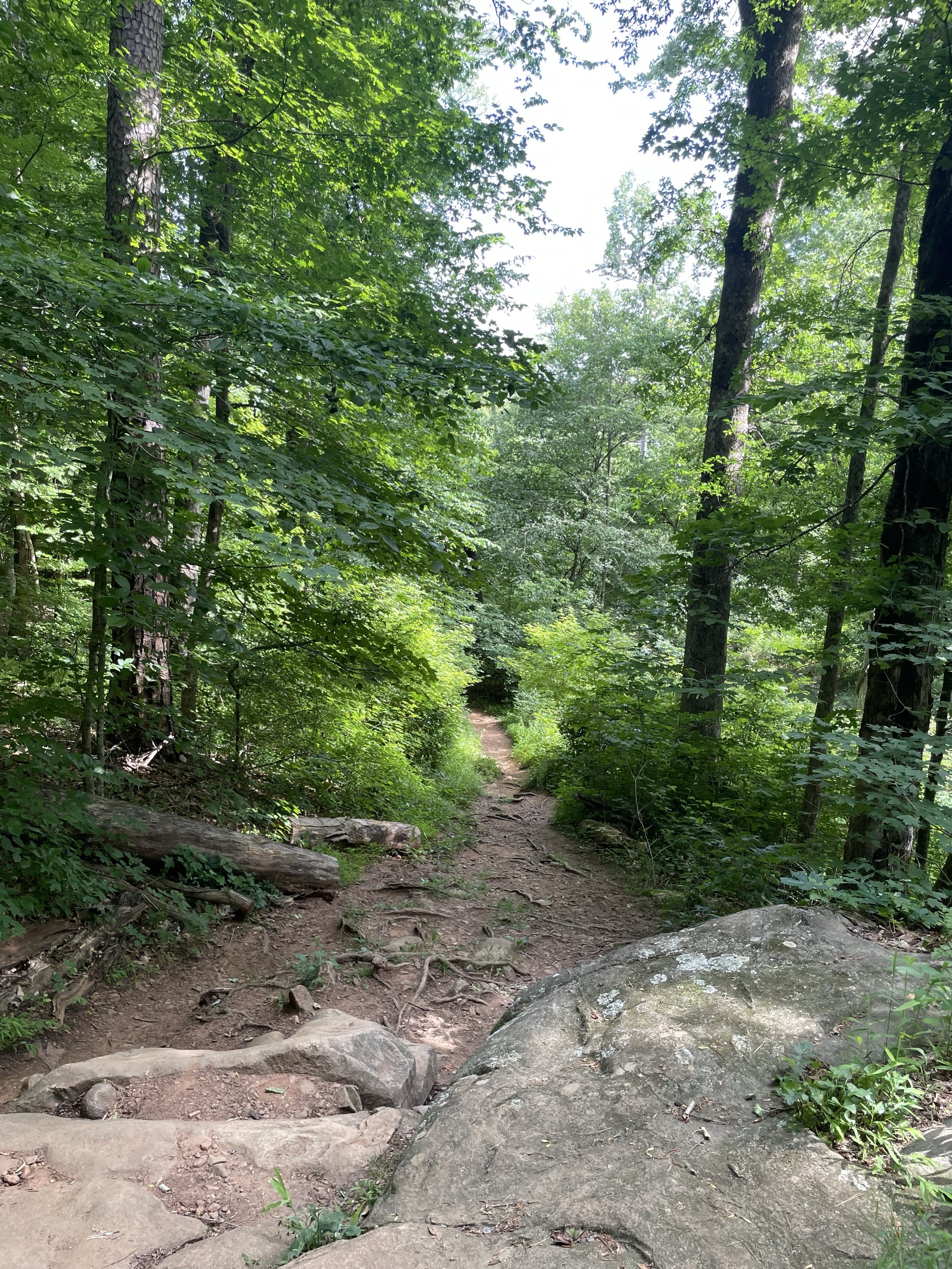 Piney Mountain Trail