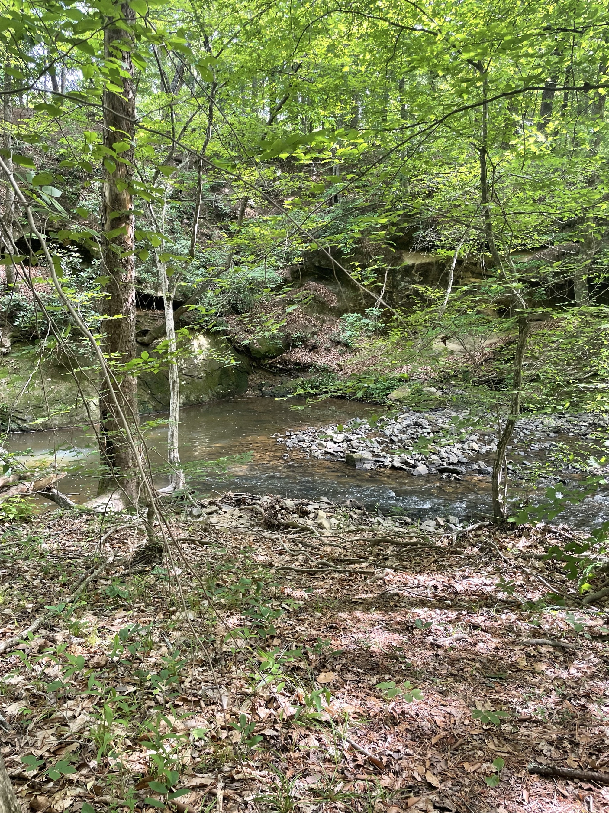 Piney Mountain Trail
