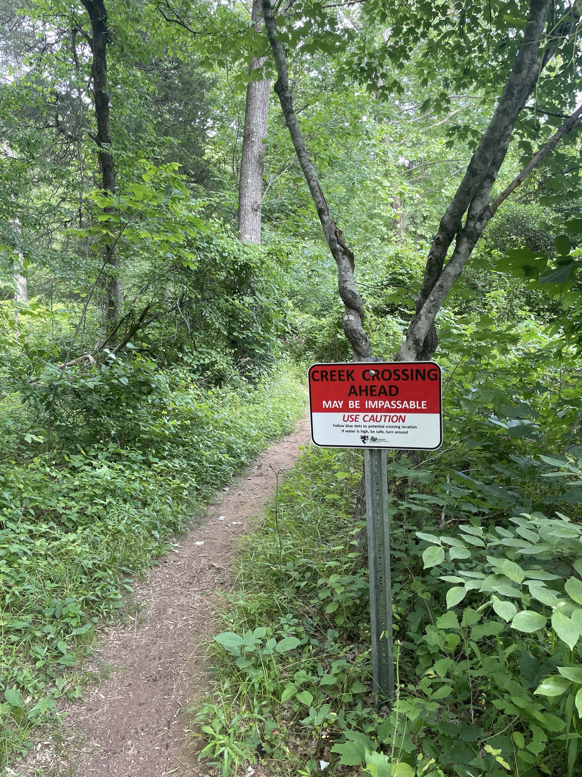 Piney Mountain Trail