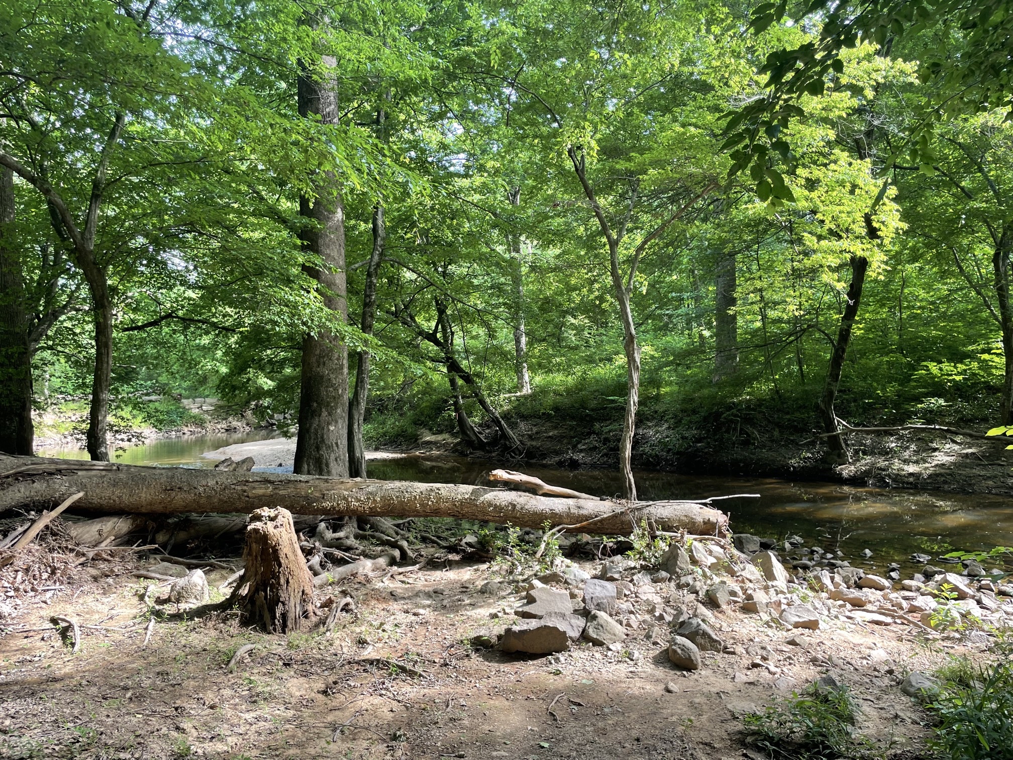 Piney Mountain Trail