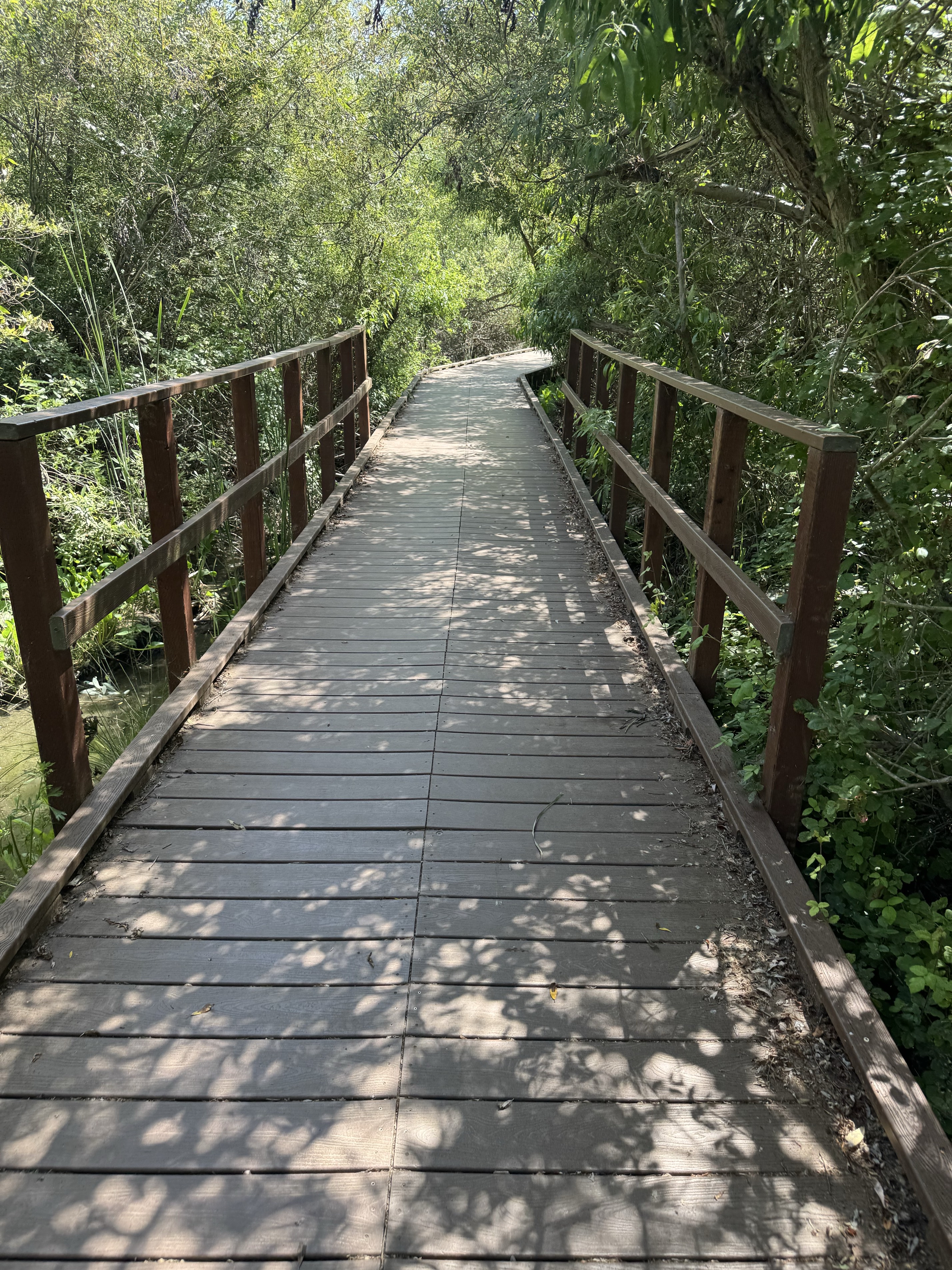 Lake Calavera via Oak Riparian Park