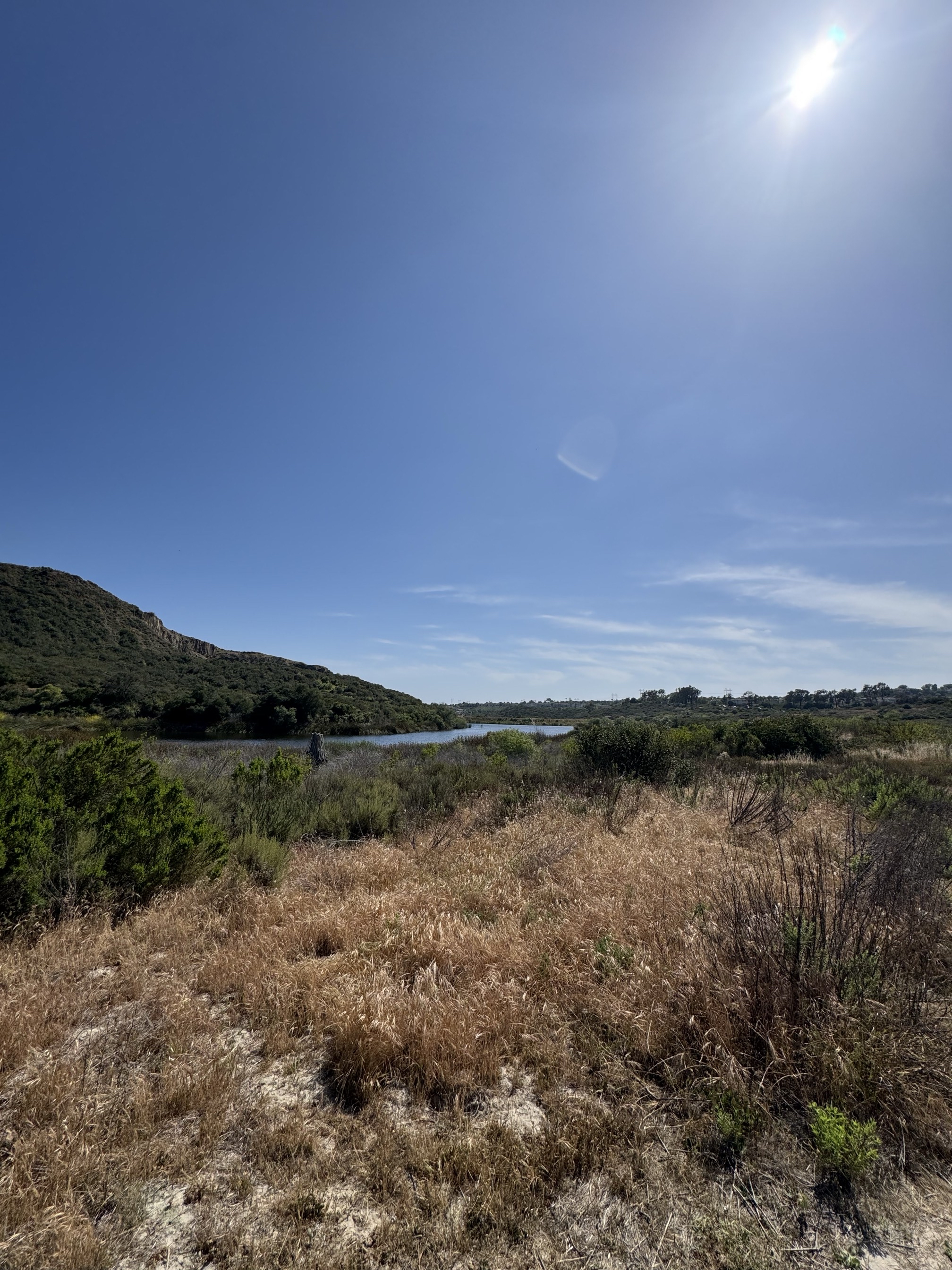 Lake Calavera via Oak Riparian Park