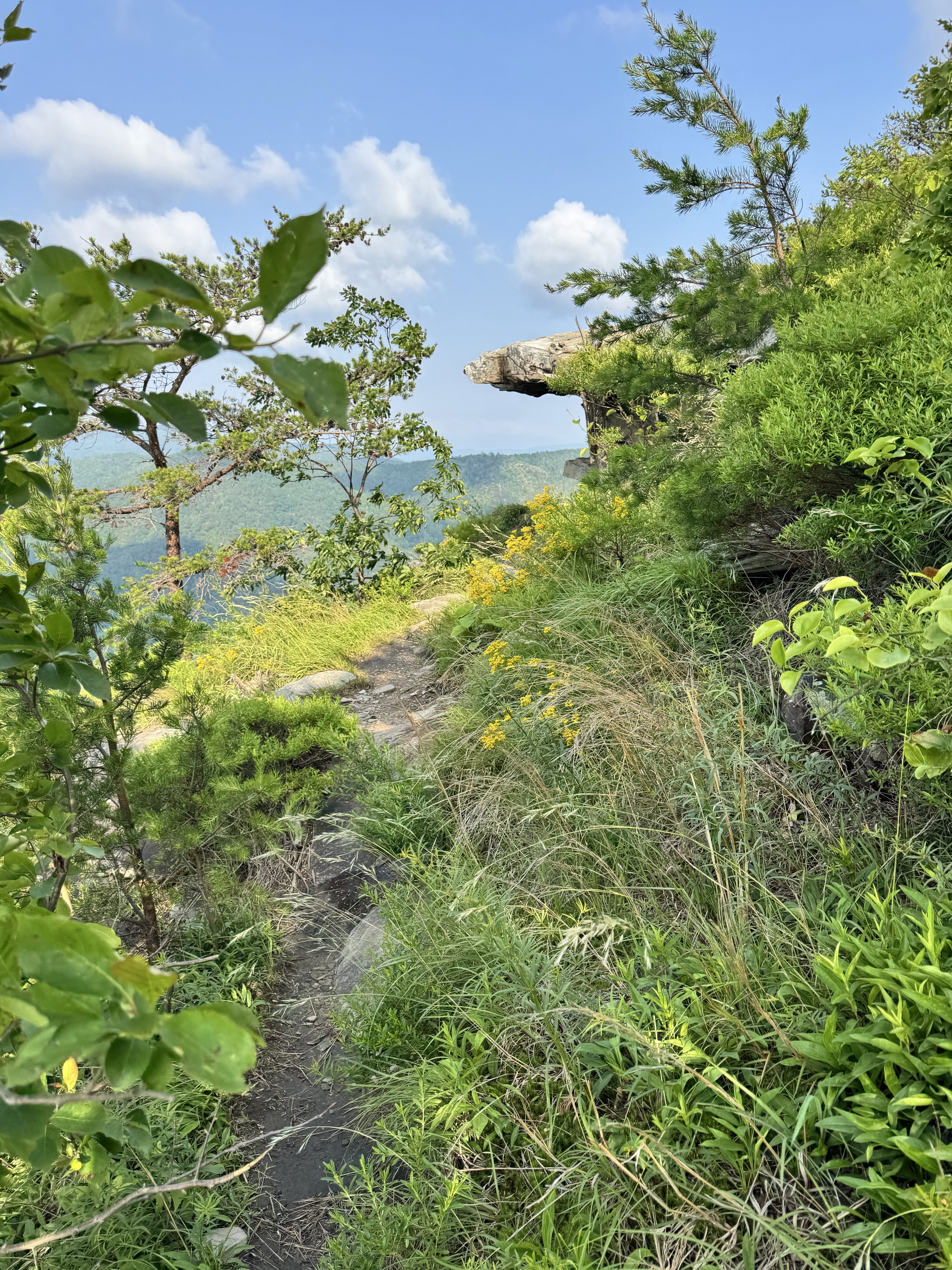 Shortoff Mountain Summit