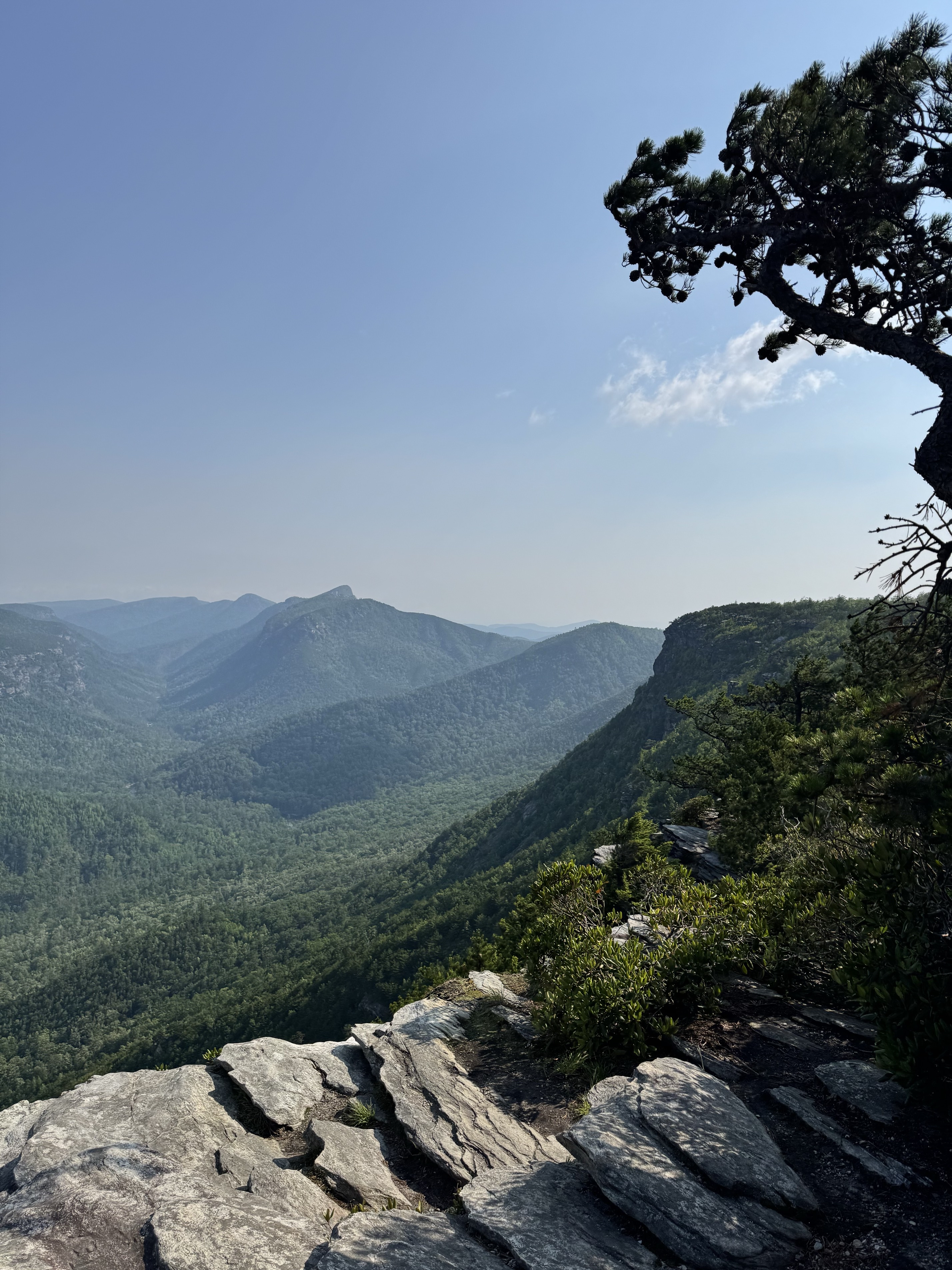 Shortoff Mountain Summit