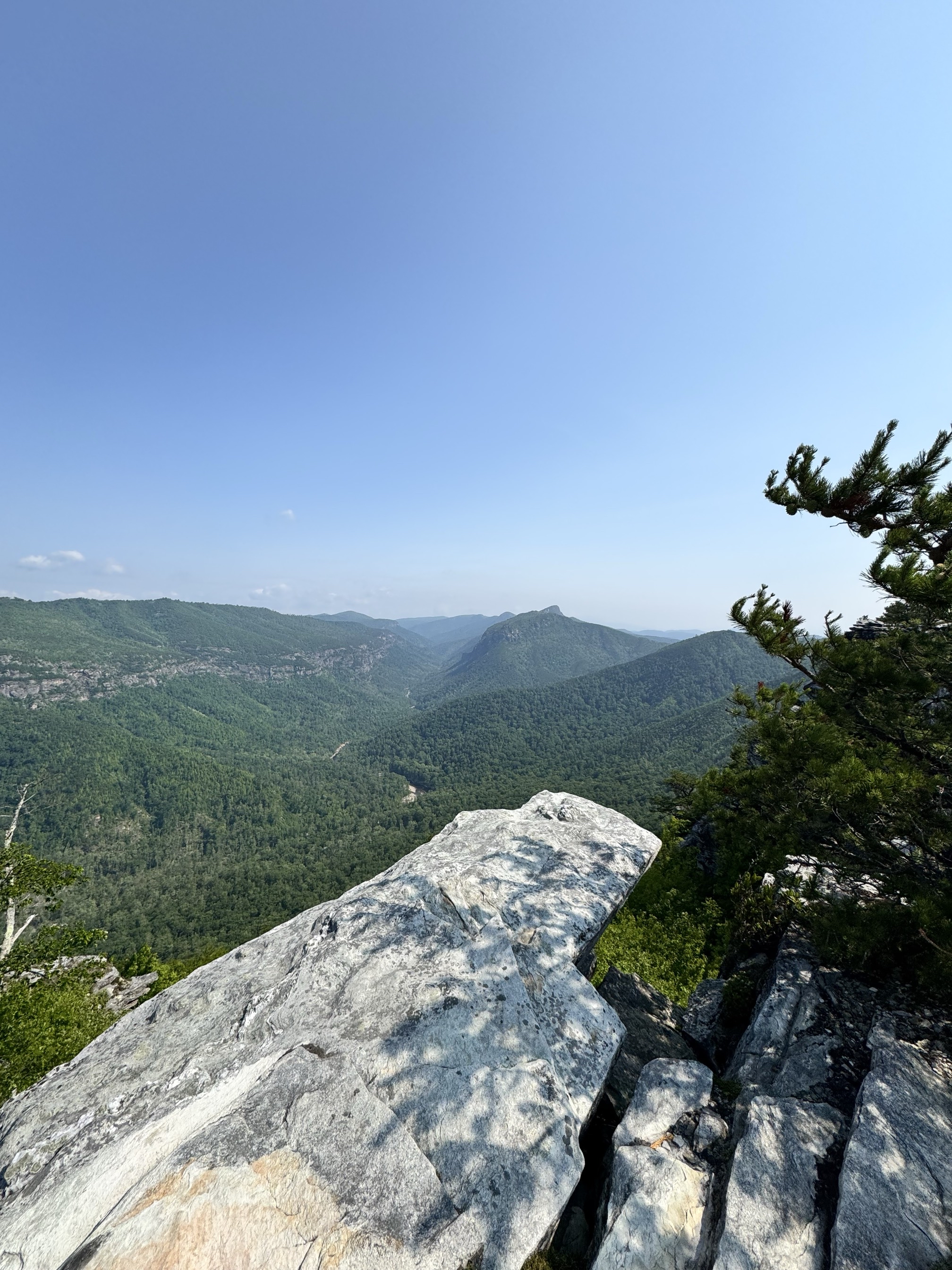 Shortoff Mountain Summit