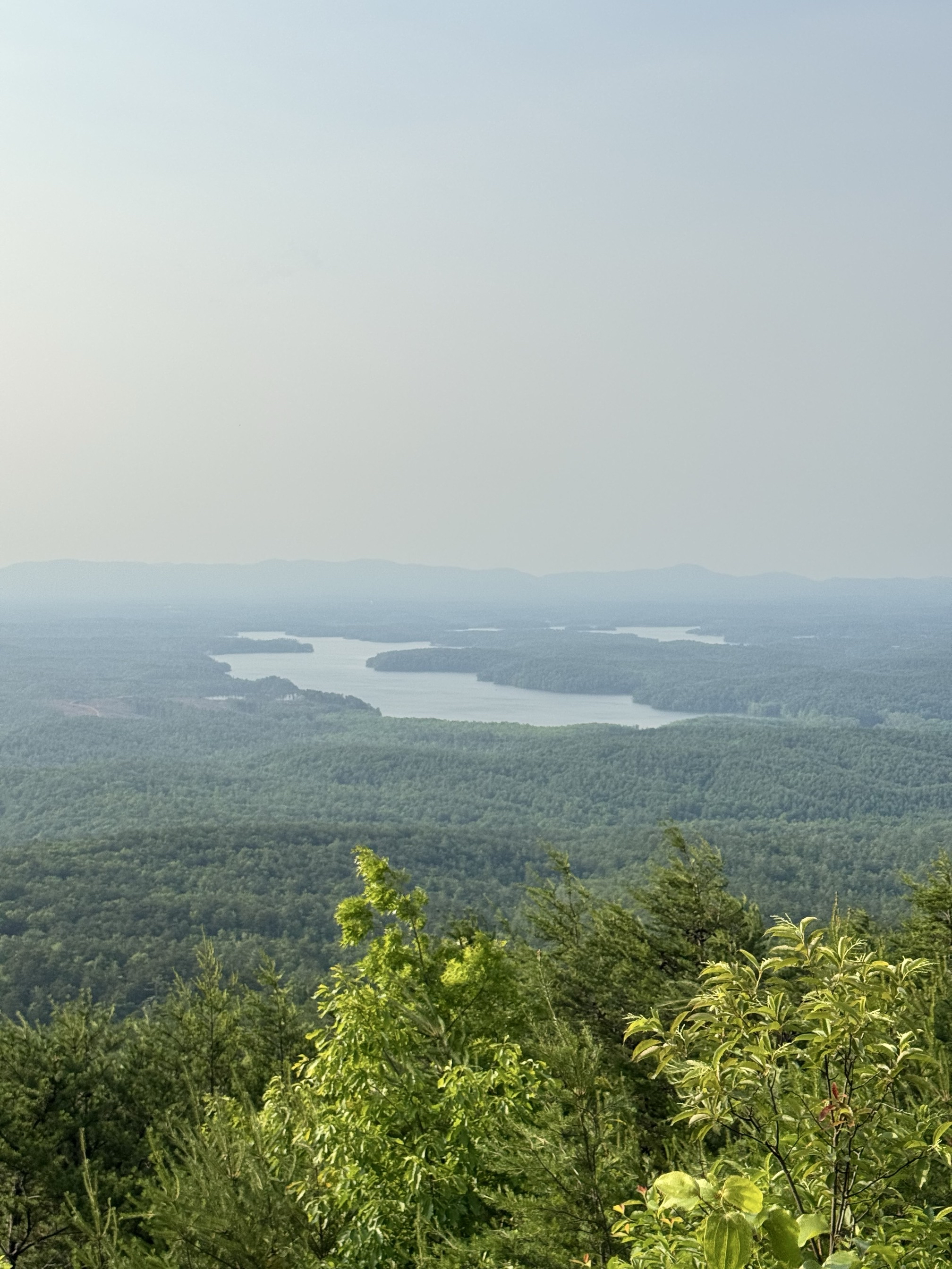 Shortoff Mountain Summit