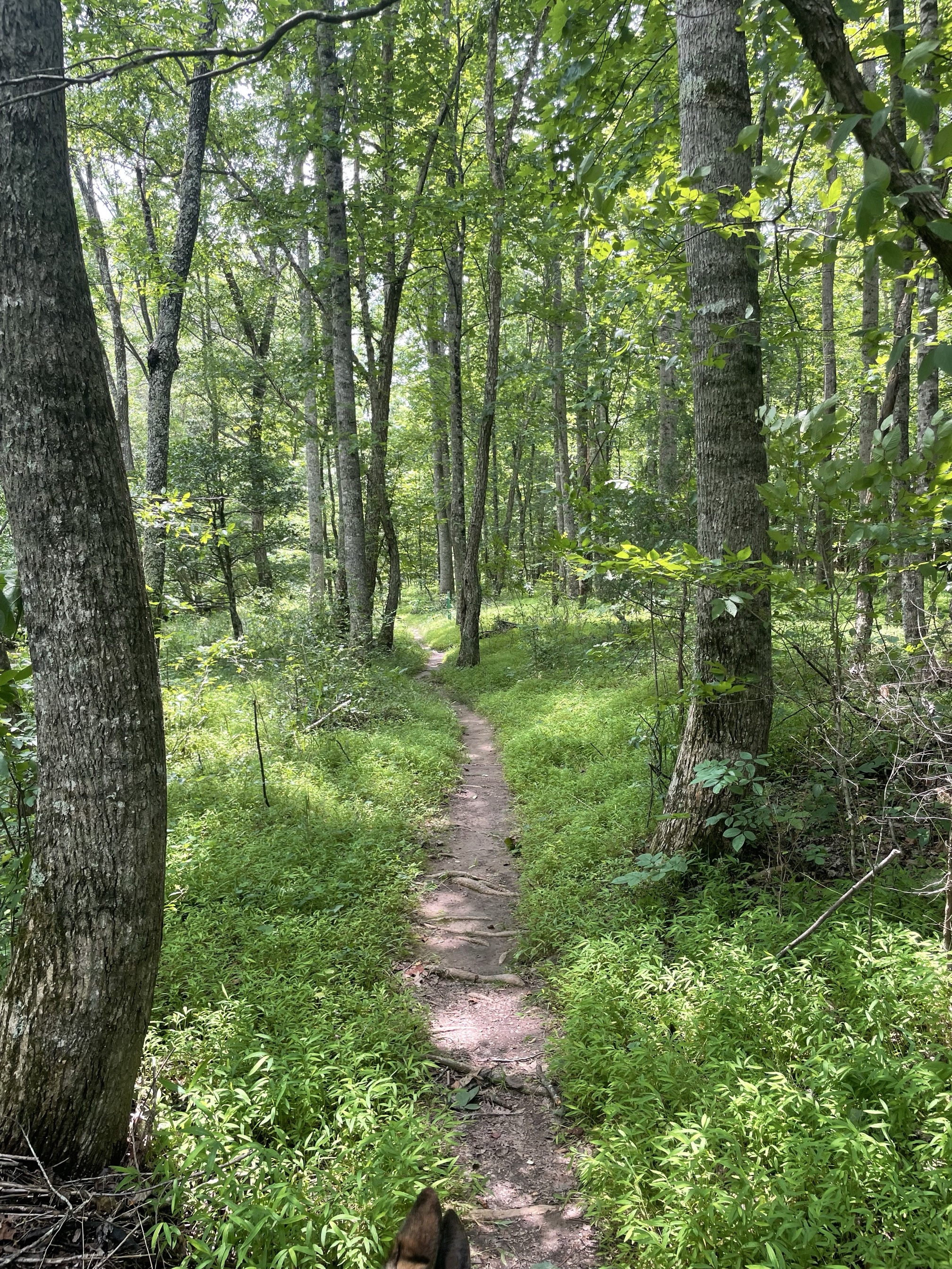 Ridge Trail to North River Trail