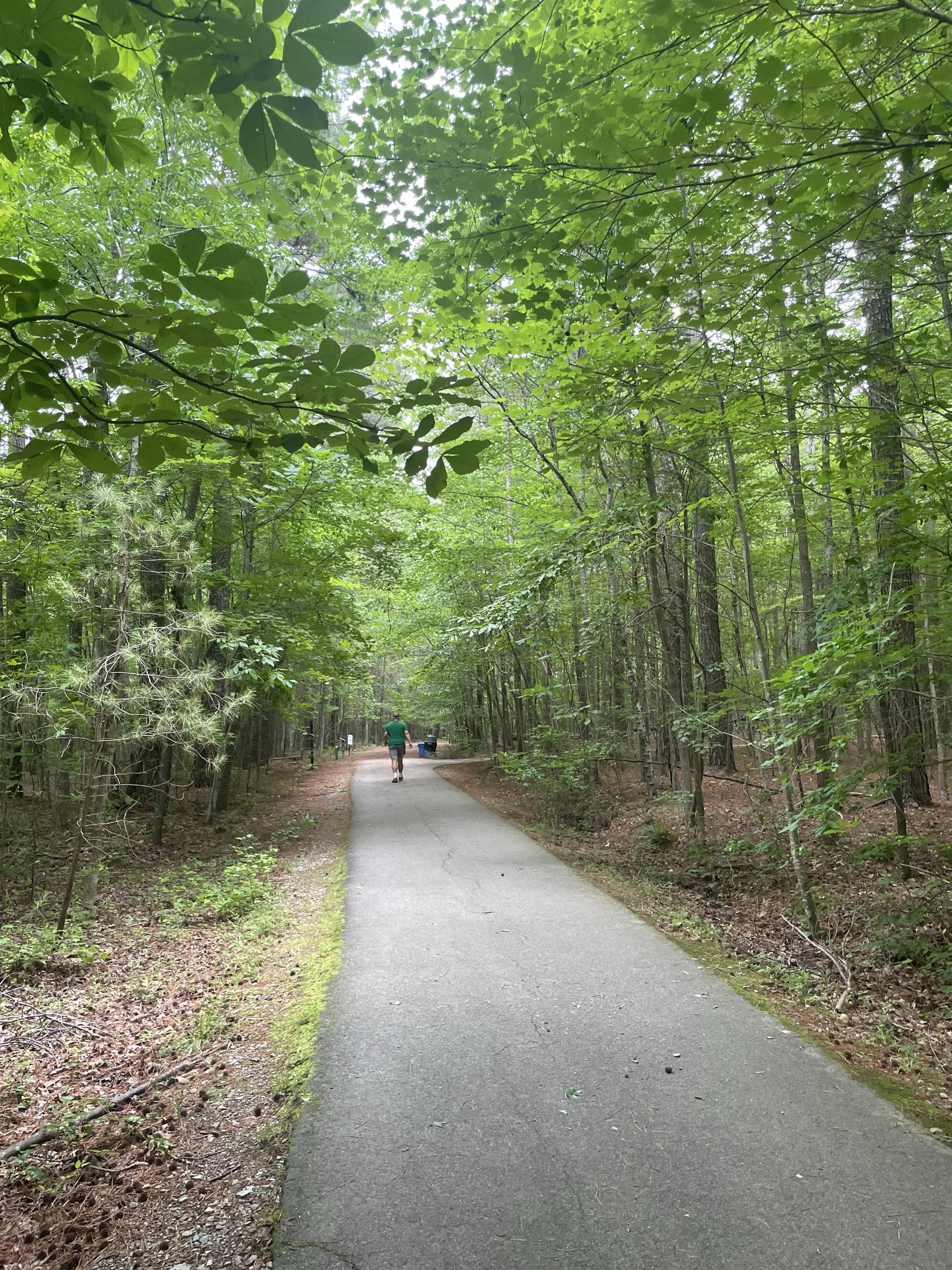 Ridge Trail to North River Trail