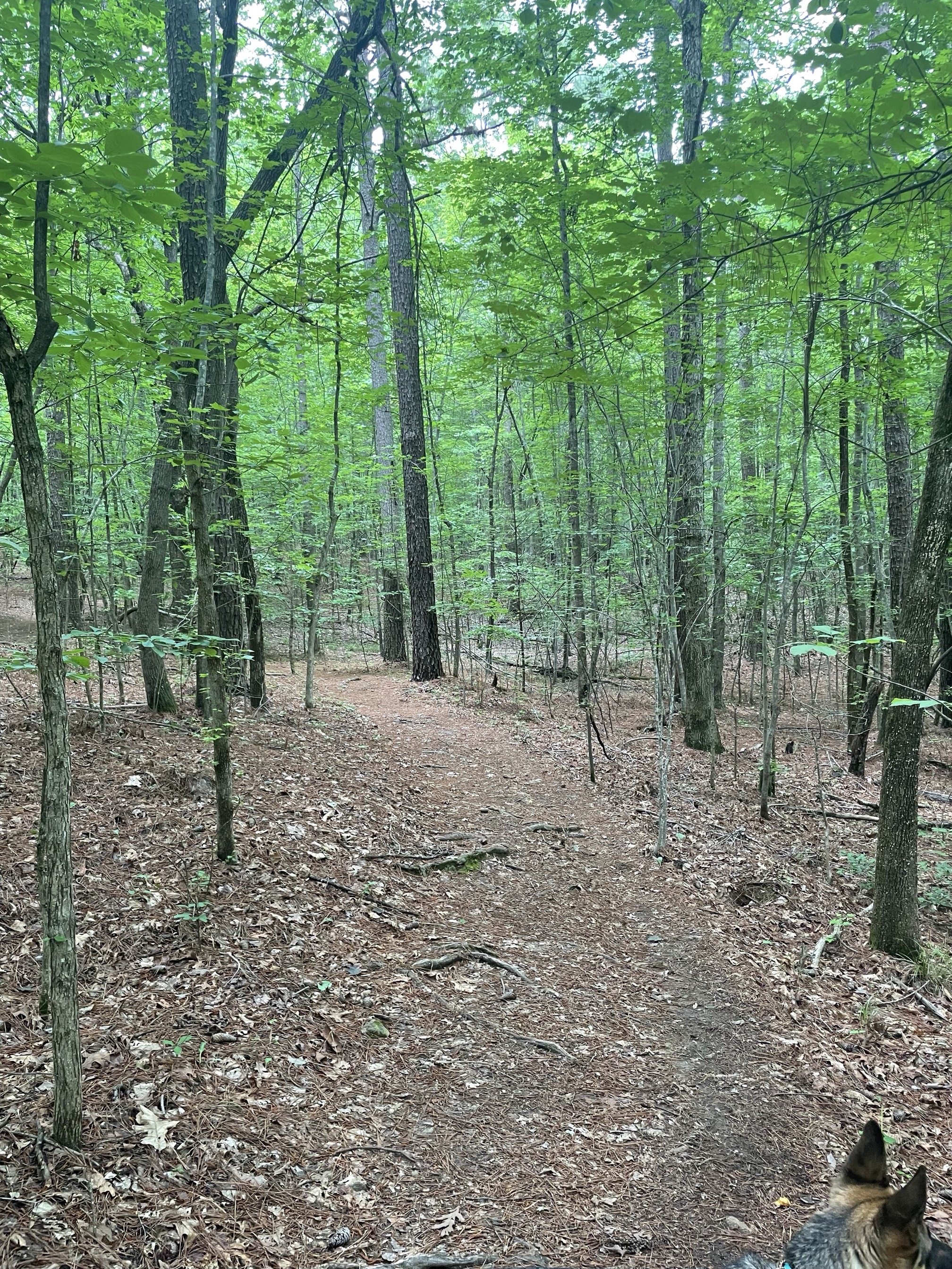 Ridge Trail to North River Trail