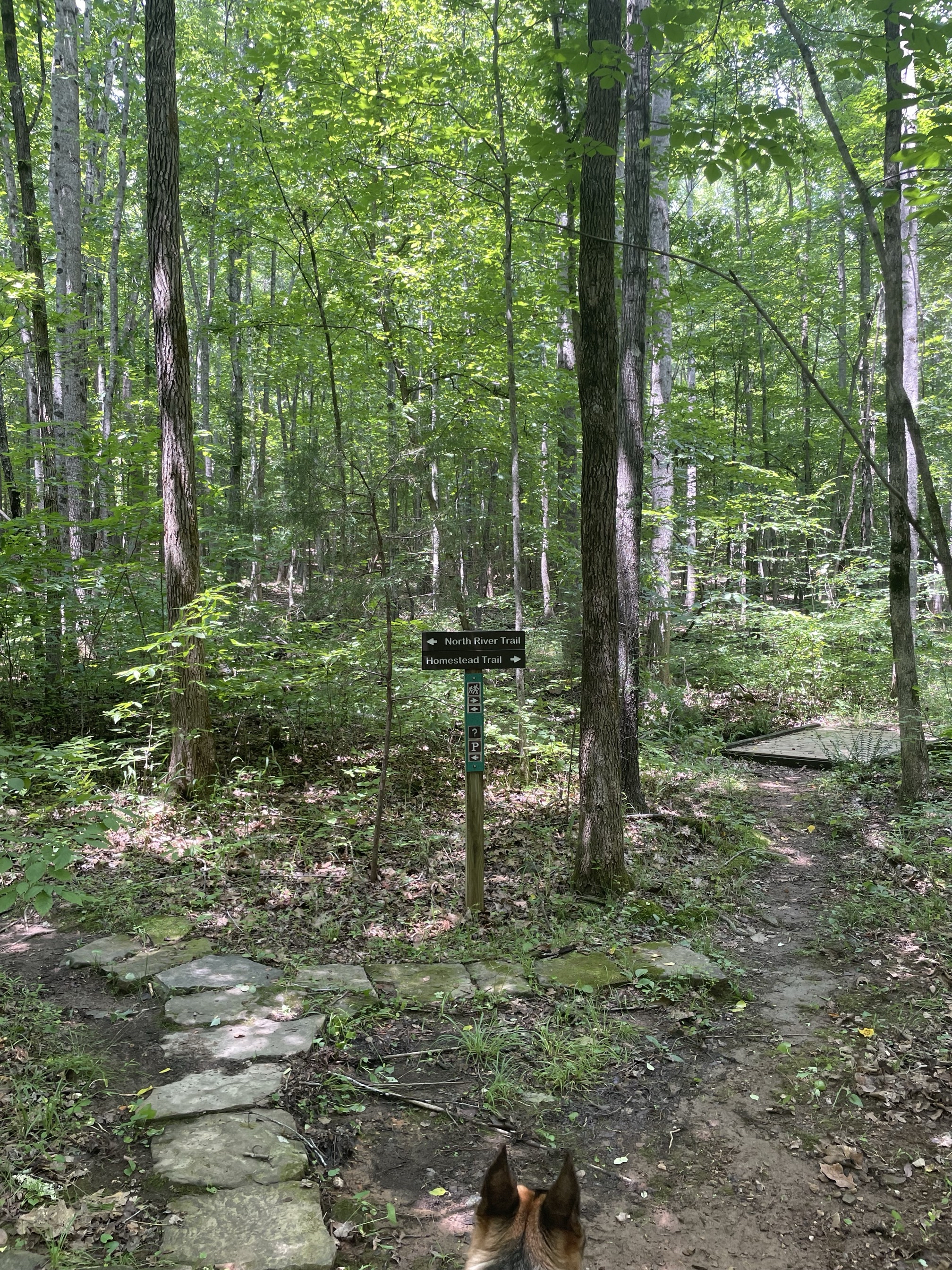 Ridge Trail to North River Trail