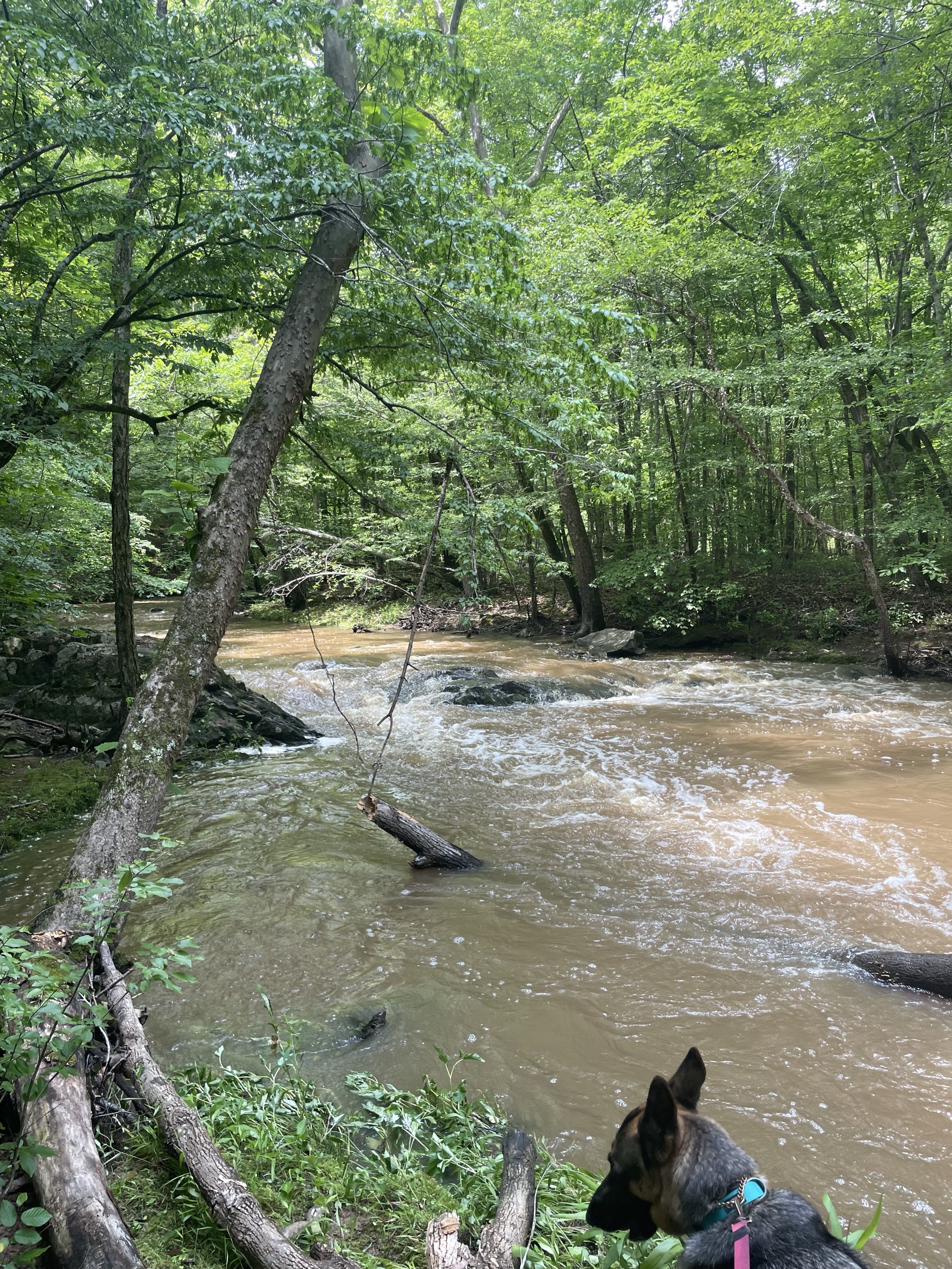 Ridge Trail to North River Trail