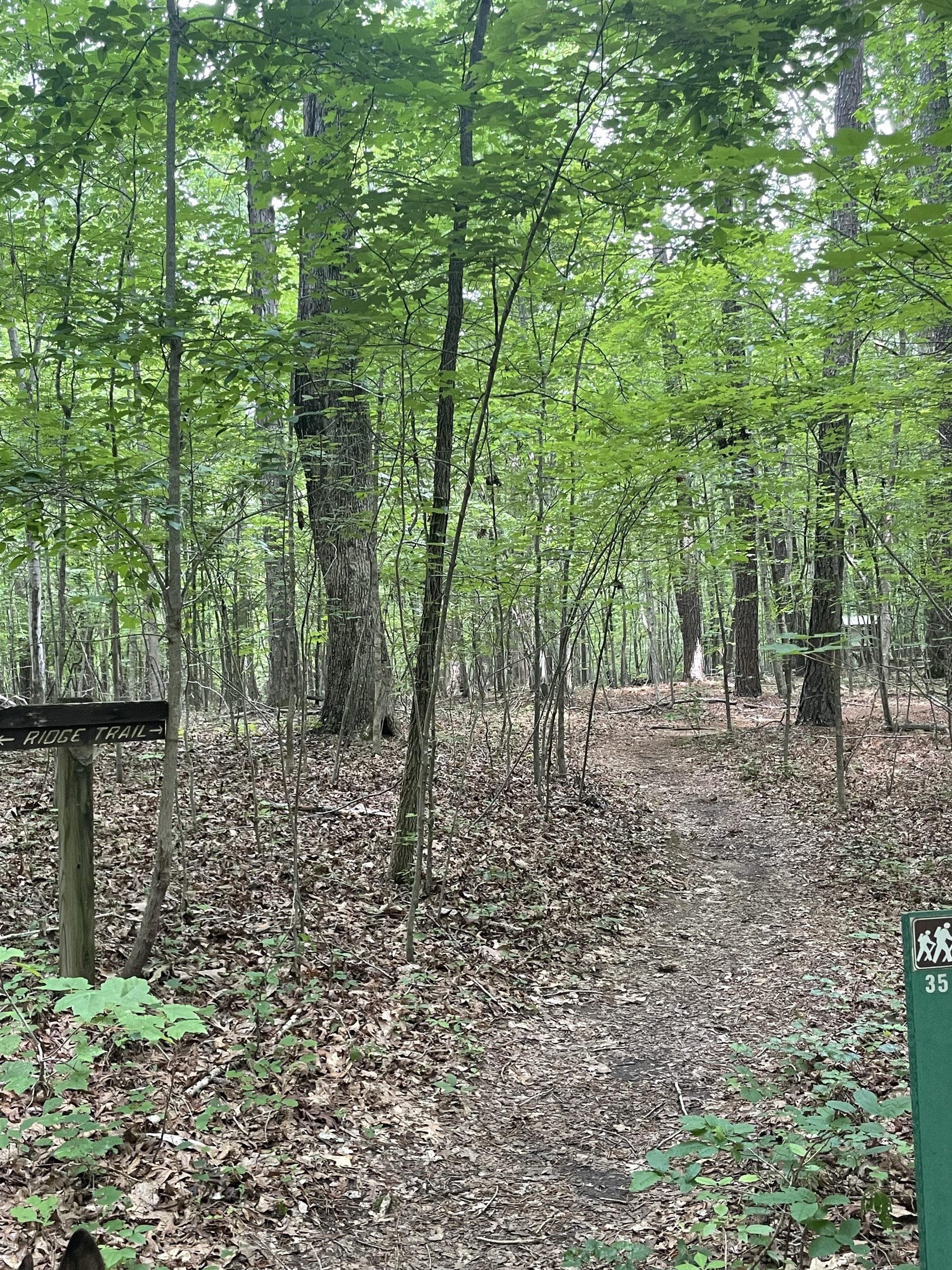 Ridge Trail to North River Trail
