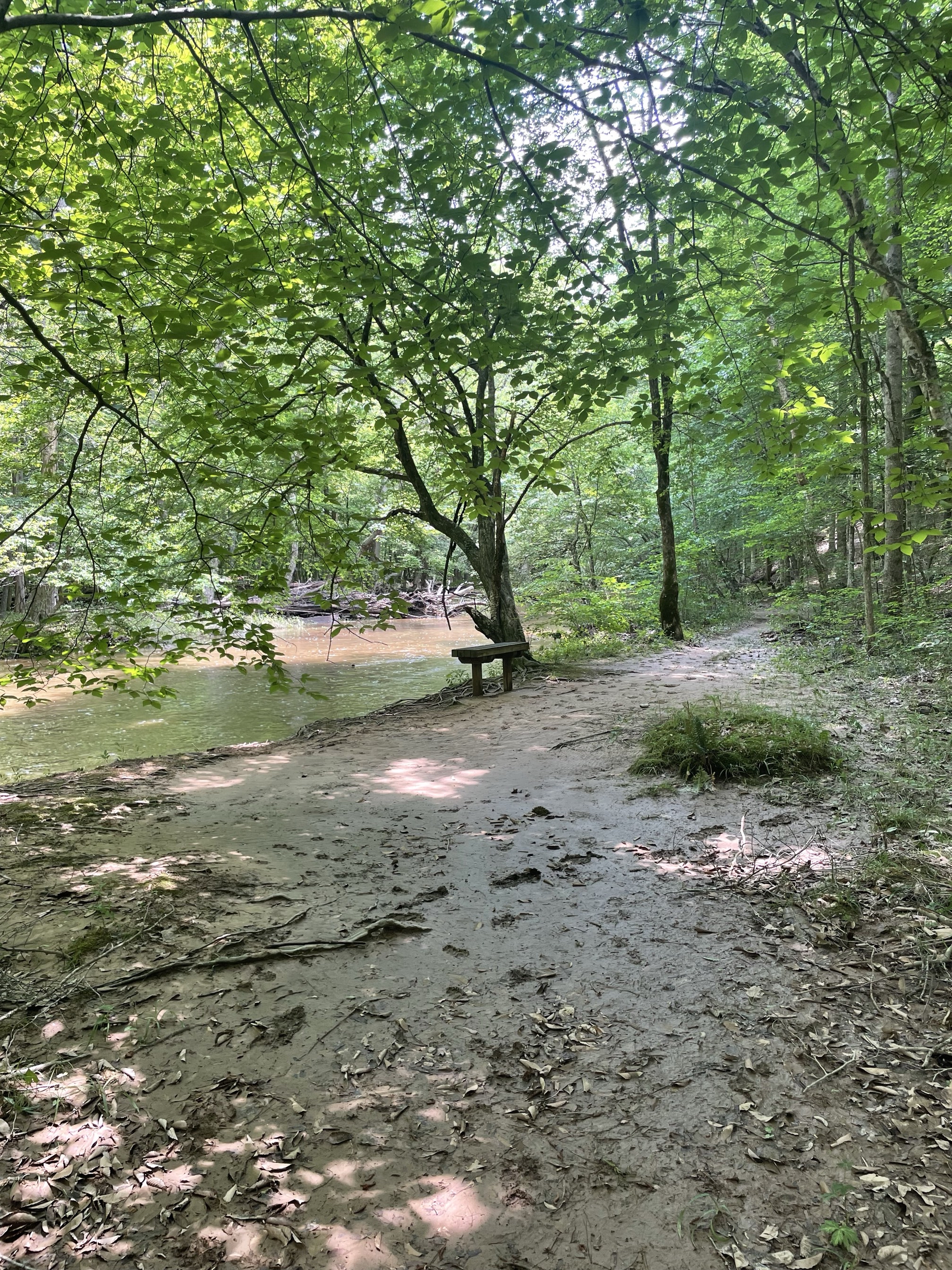 Ridge Trail to North River Trail