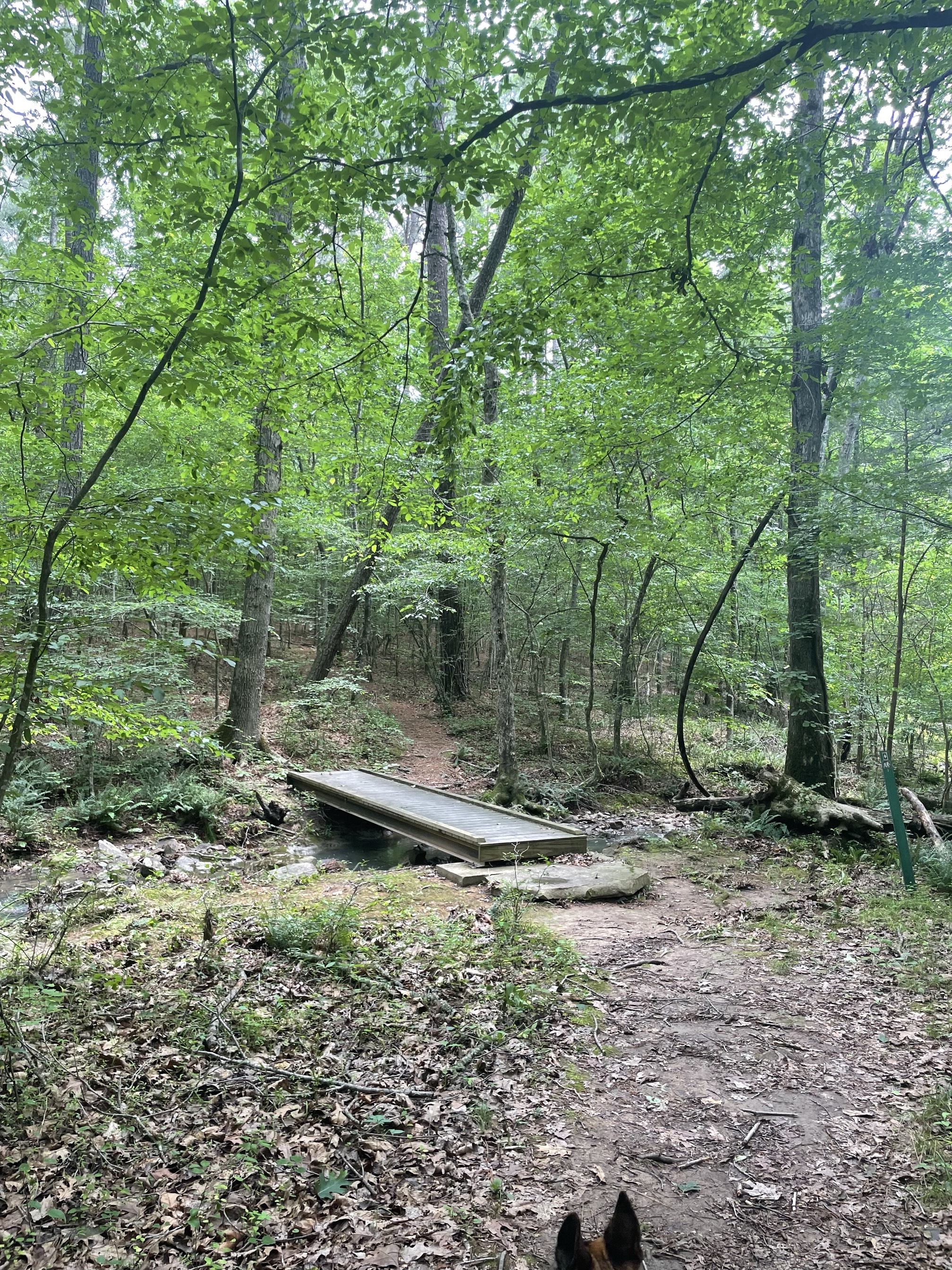 Ridge Trail to North River Trail