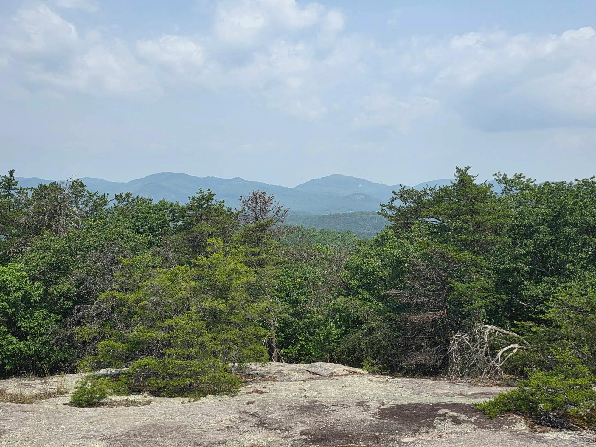 Hollow Rock Trail