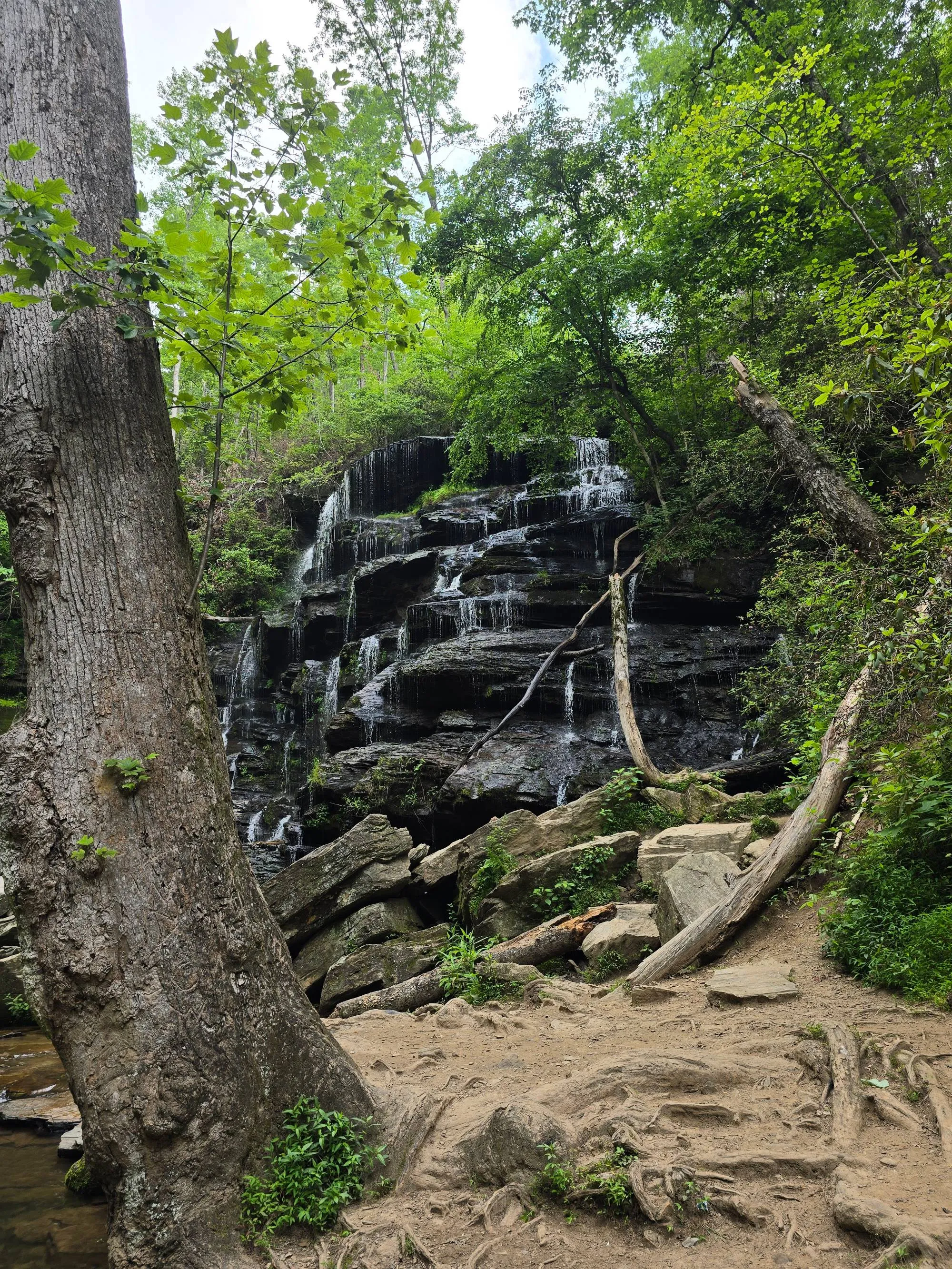 Yellow Branch Falls