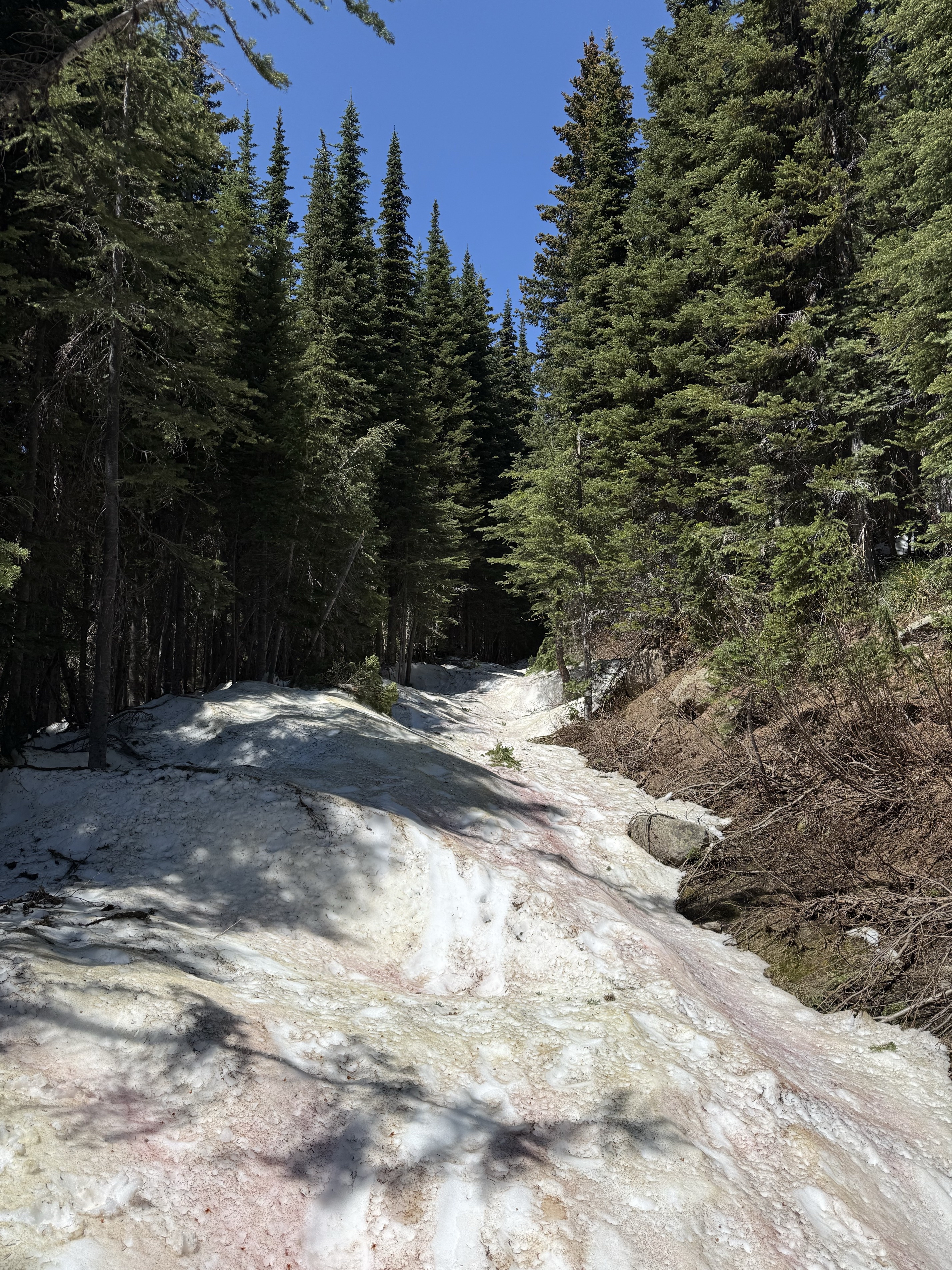 Harrison Lake Trail