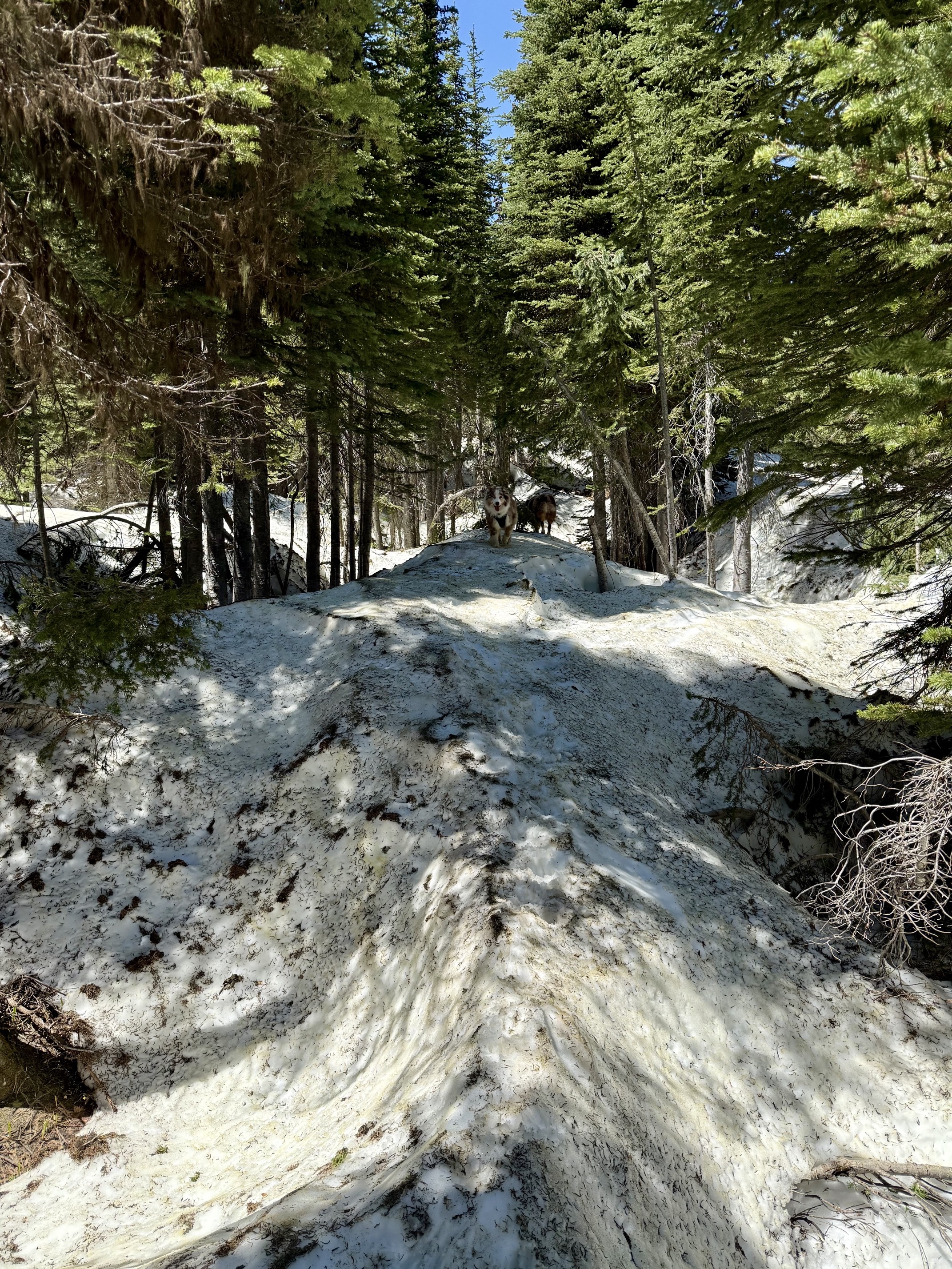 Harrison Lake Trail