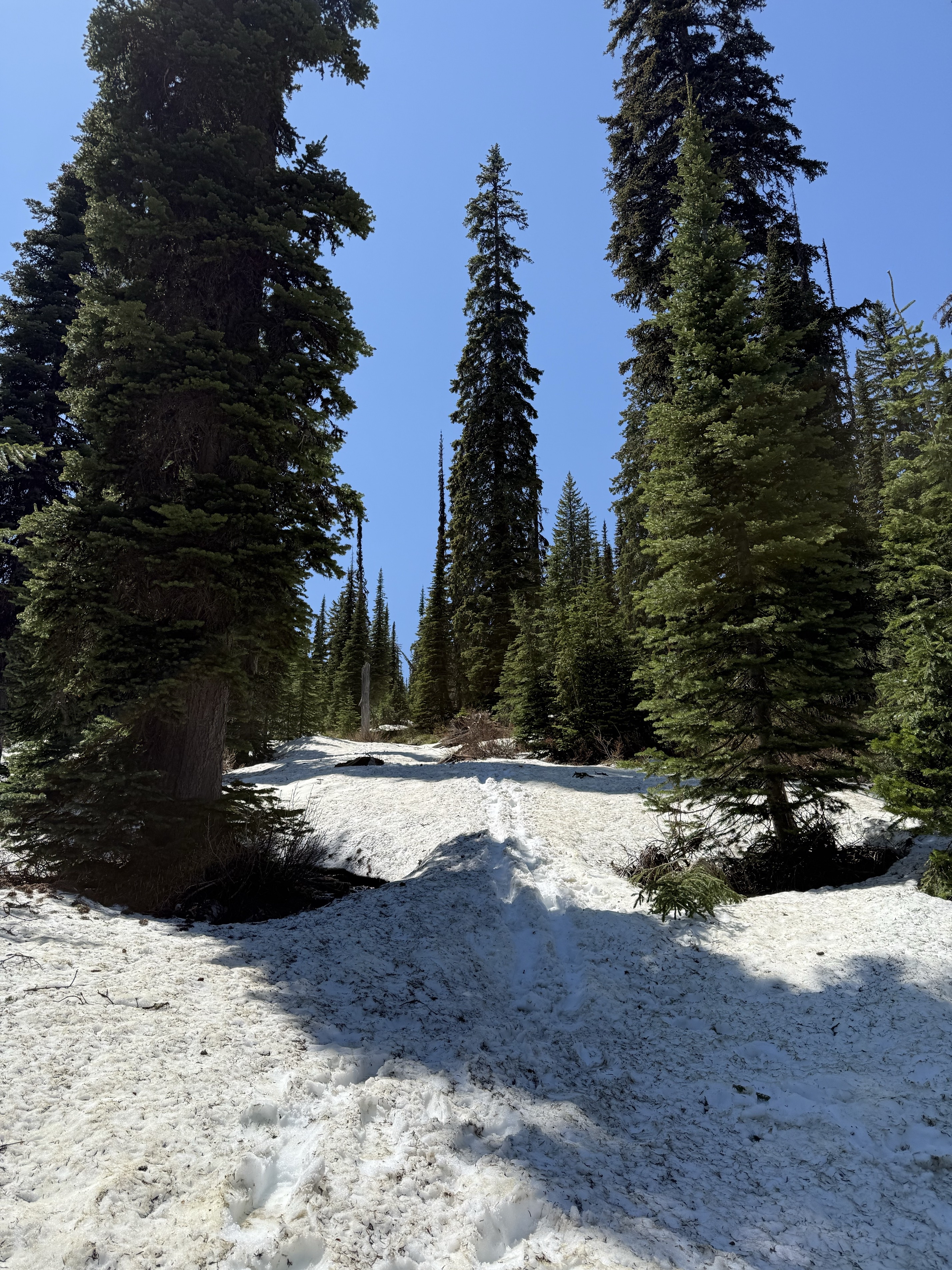 Harrison Lake Trail