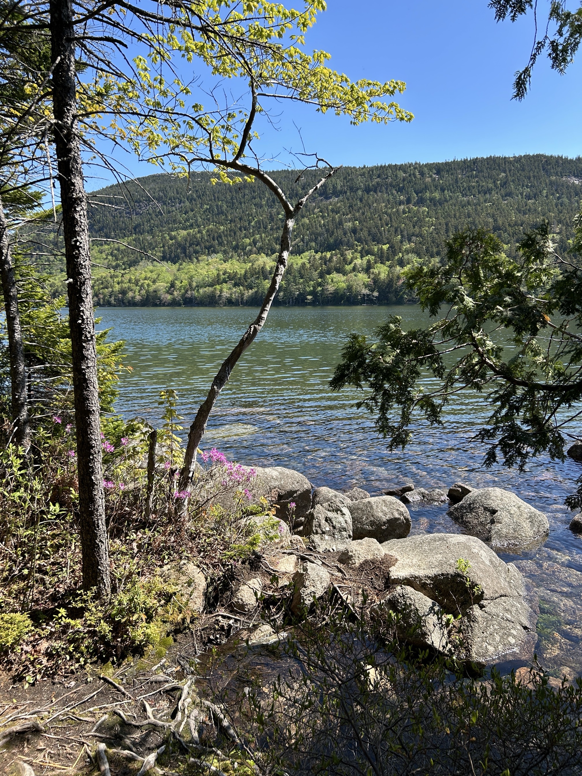 Jordan Pond