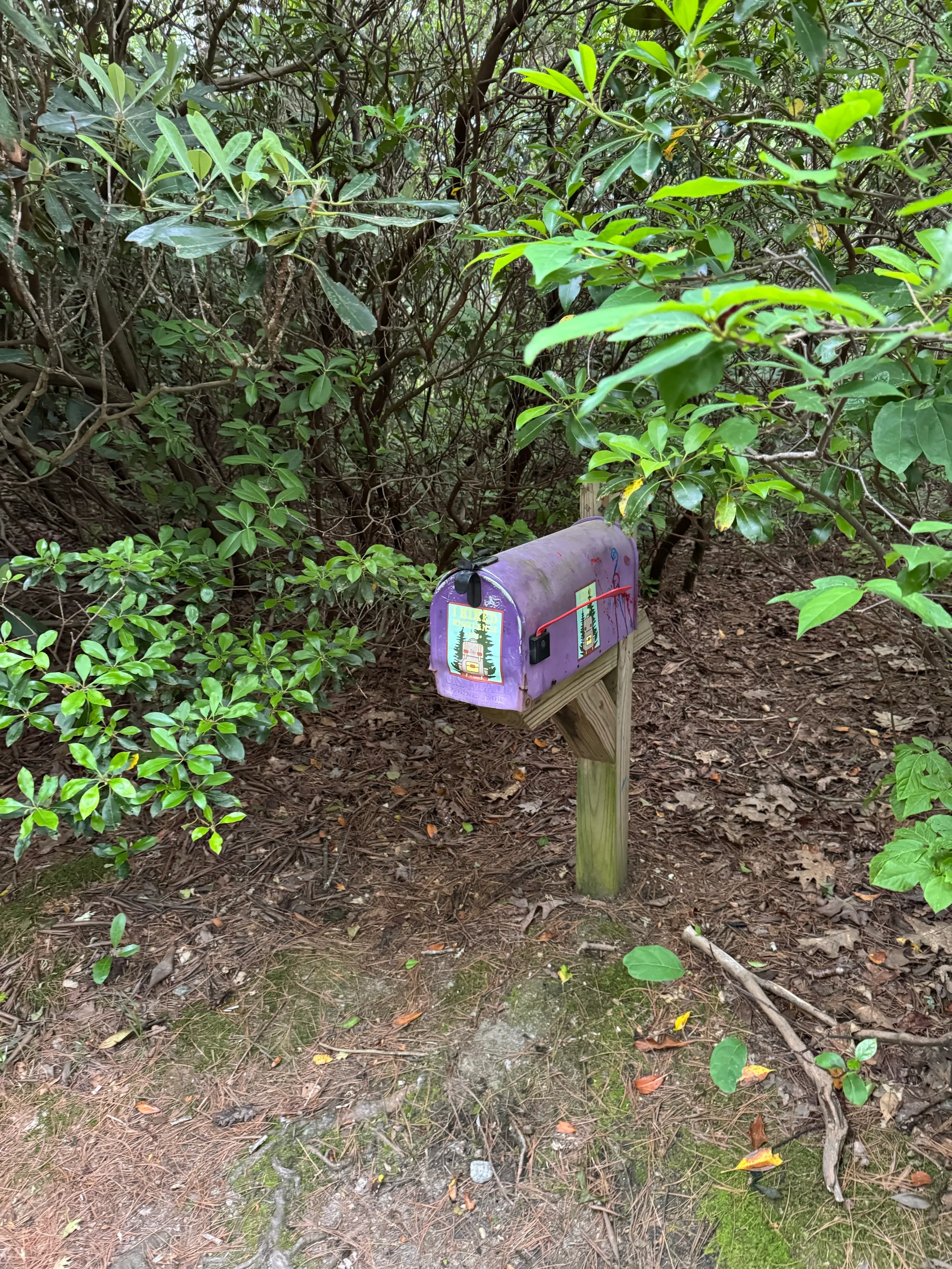 Chastain Park Trail