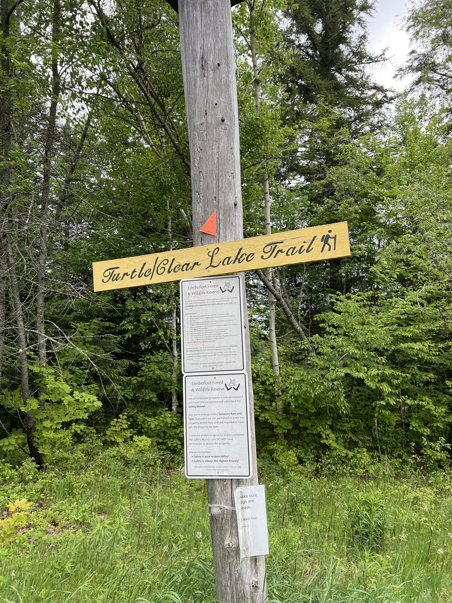 Solitaire Lake Loop