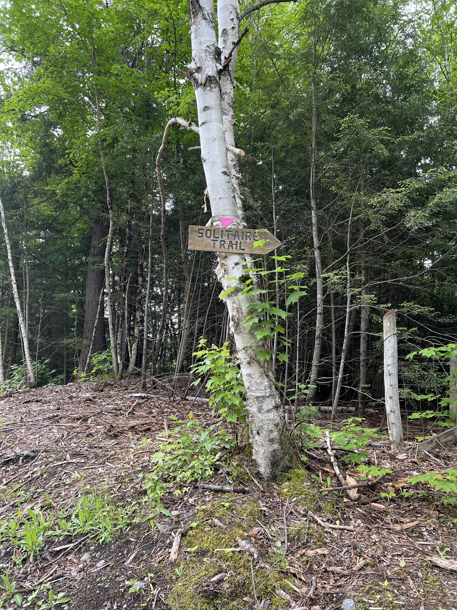 Solitaire Lake Loop