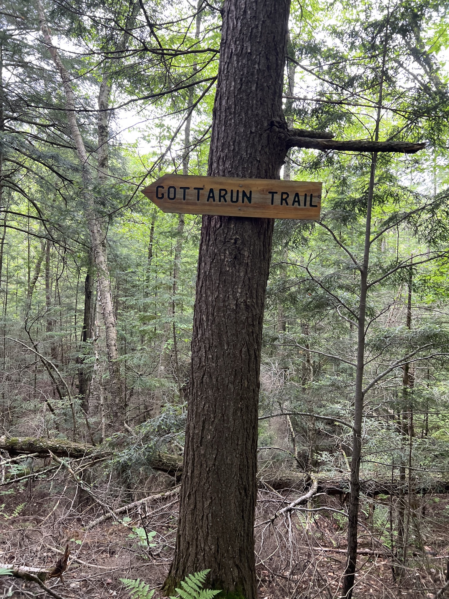 Solitaire Lake Loop
