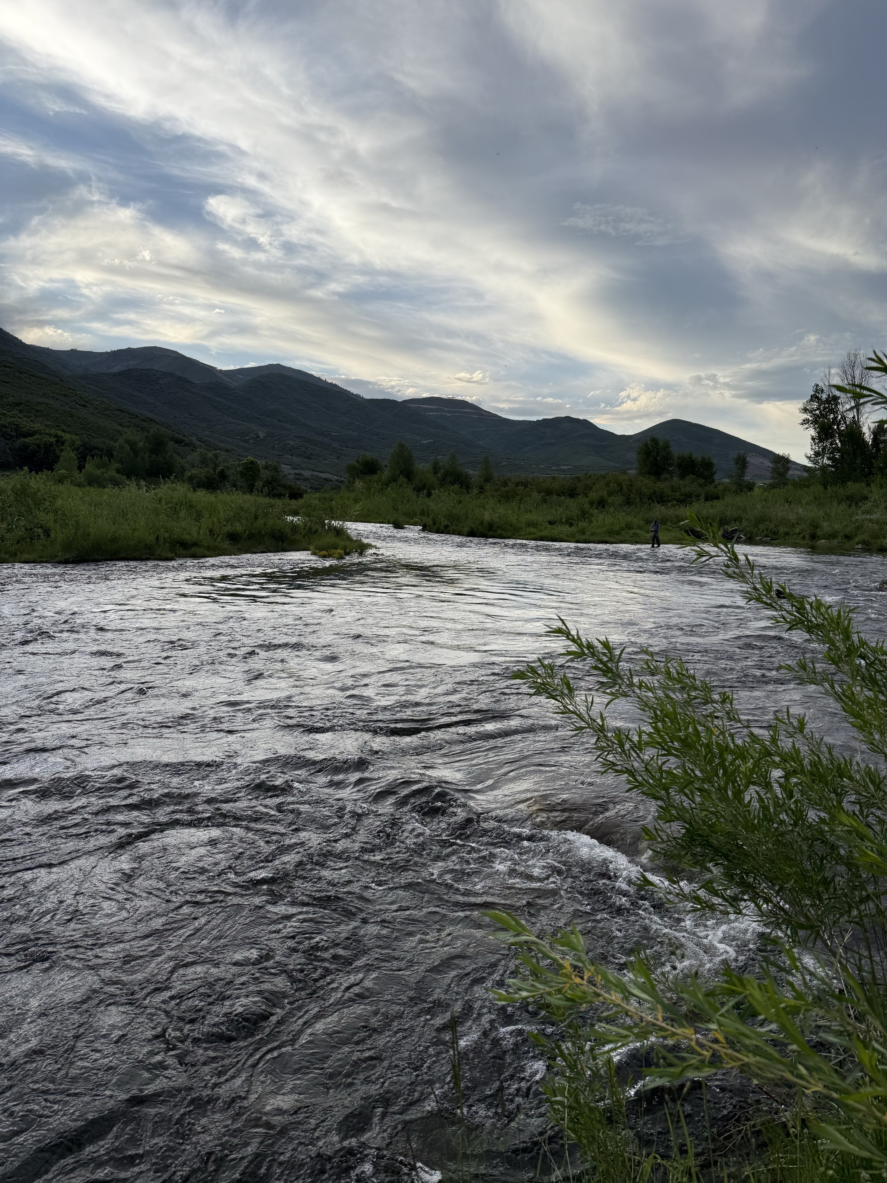 Fly Fish the Middle Provo River