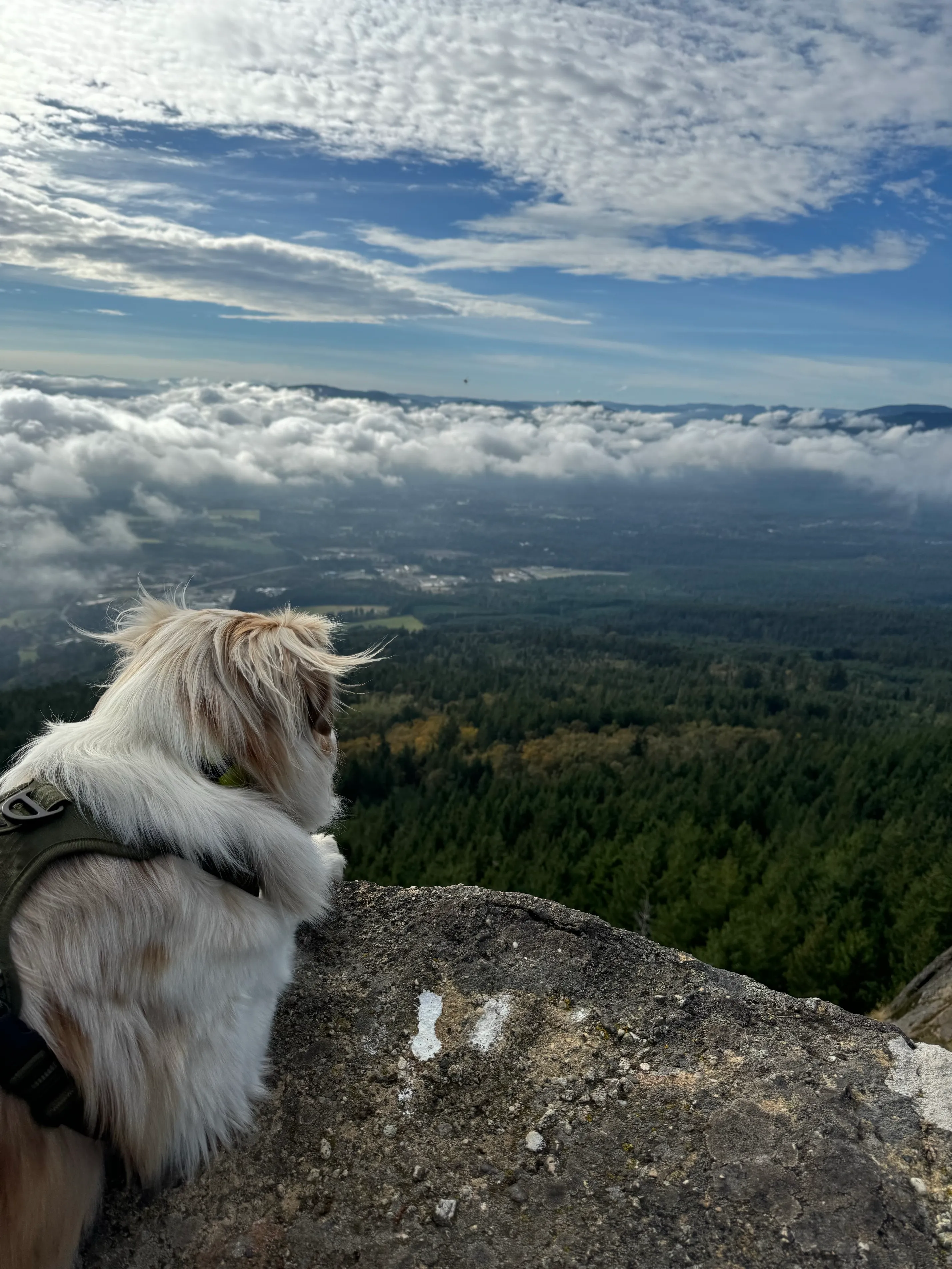 Hike Mount Prevost
