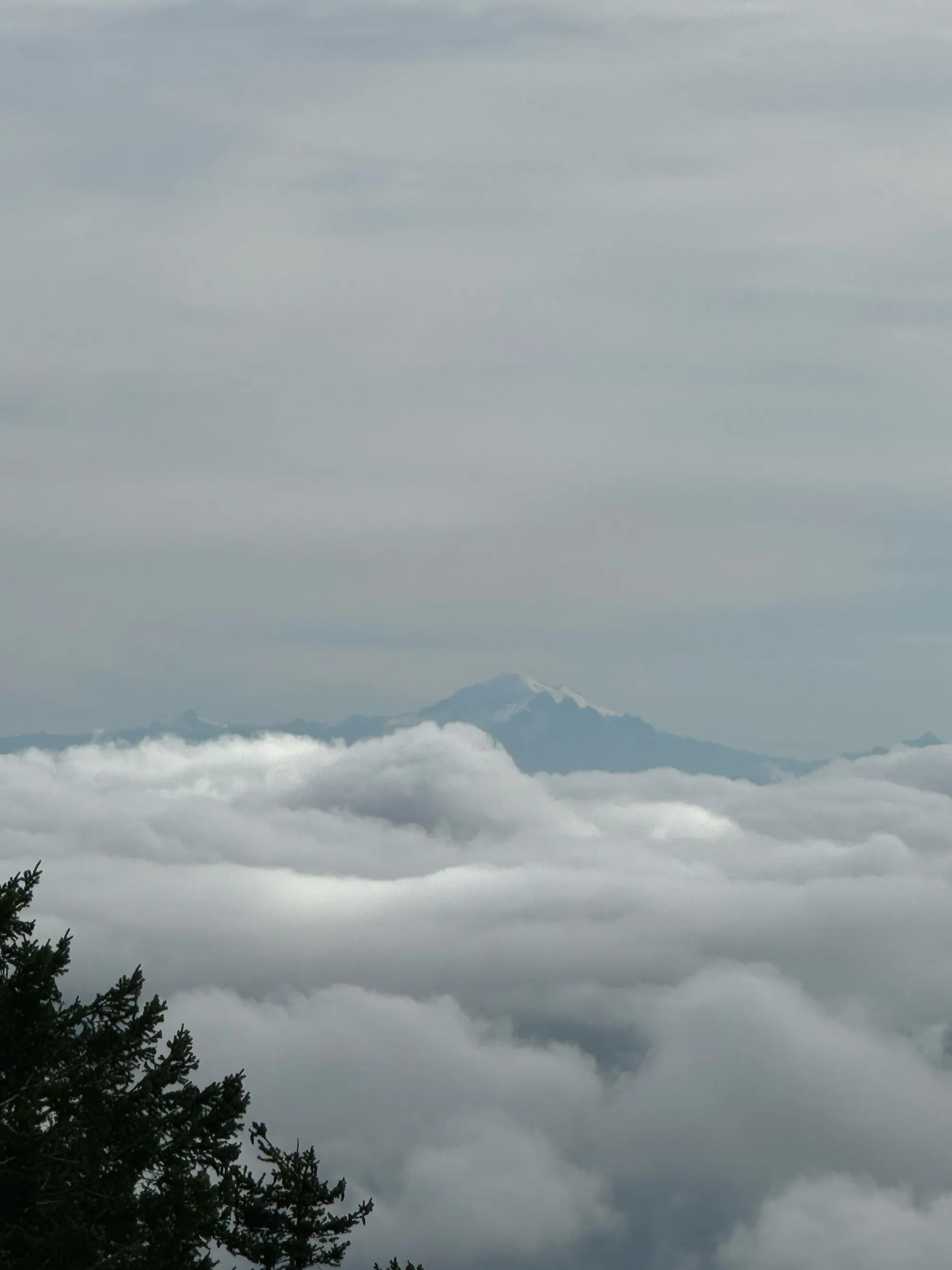 Hike Mount Prevost