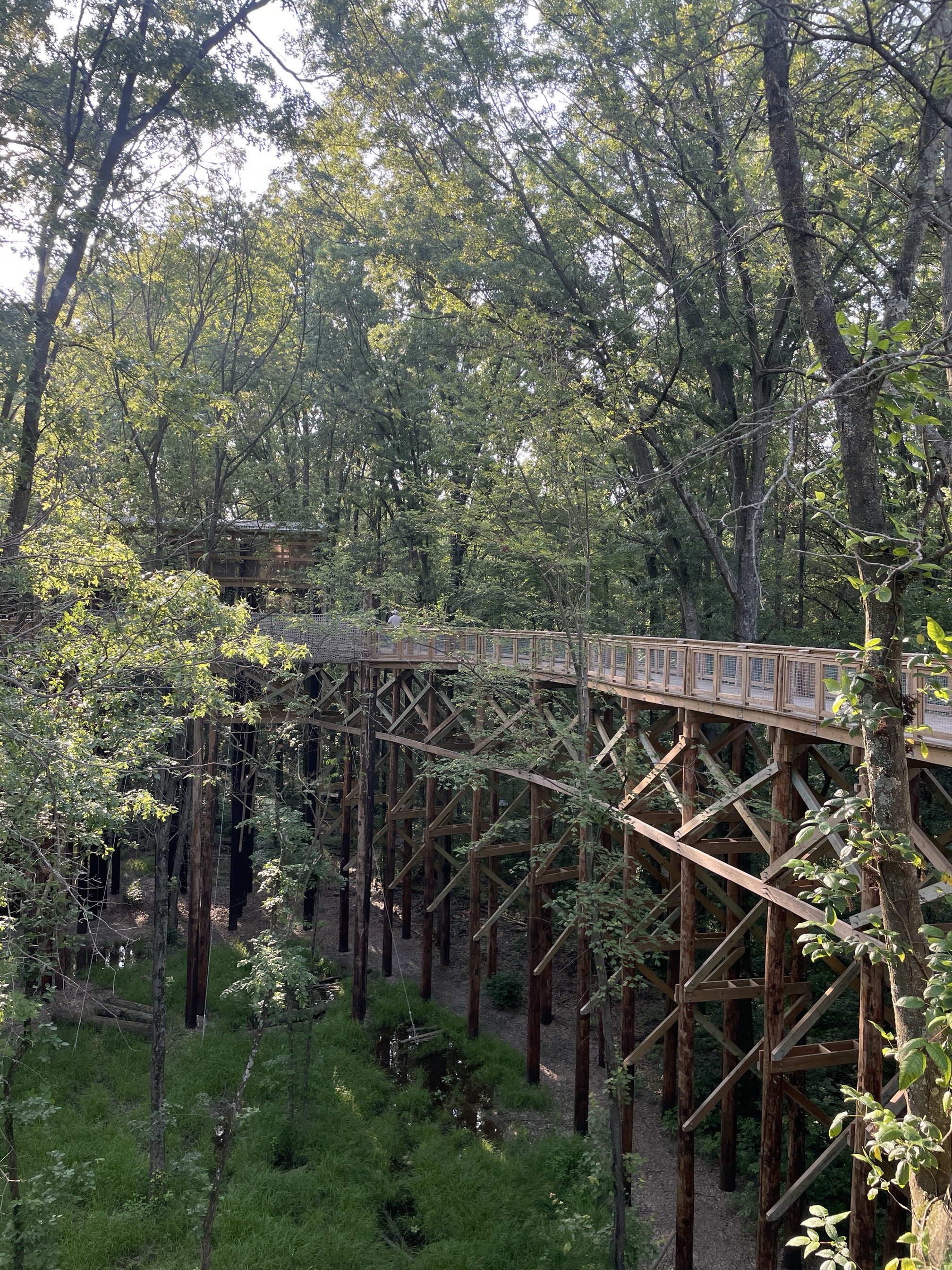 Blacklick Woods Canopy Walk