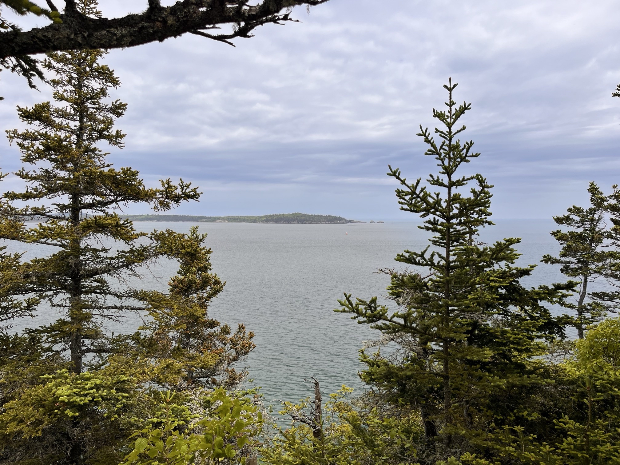 Quoddy Coast Guard Trail