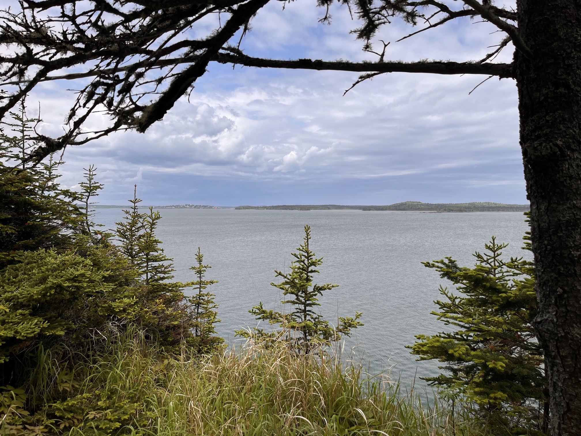 Quoddy Coast Guard Trail